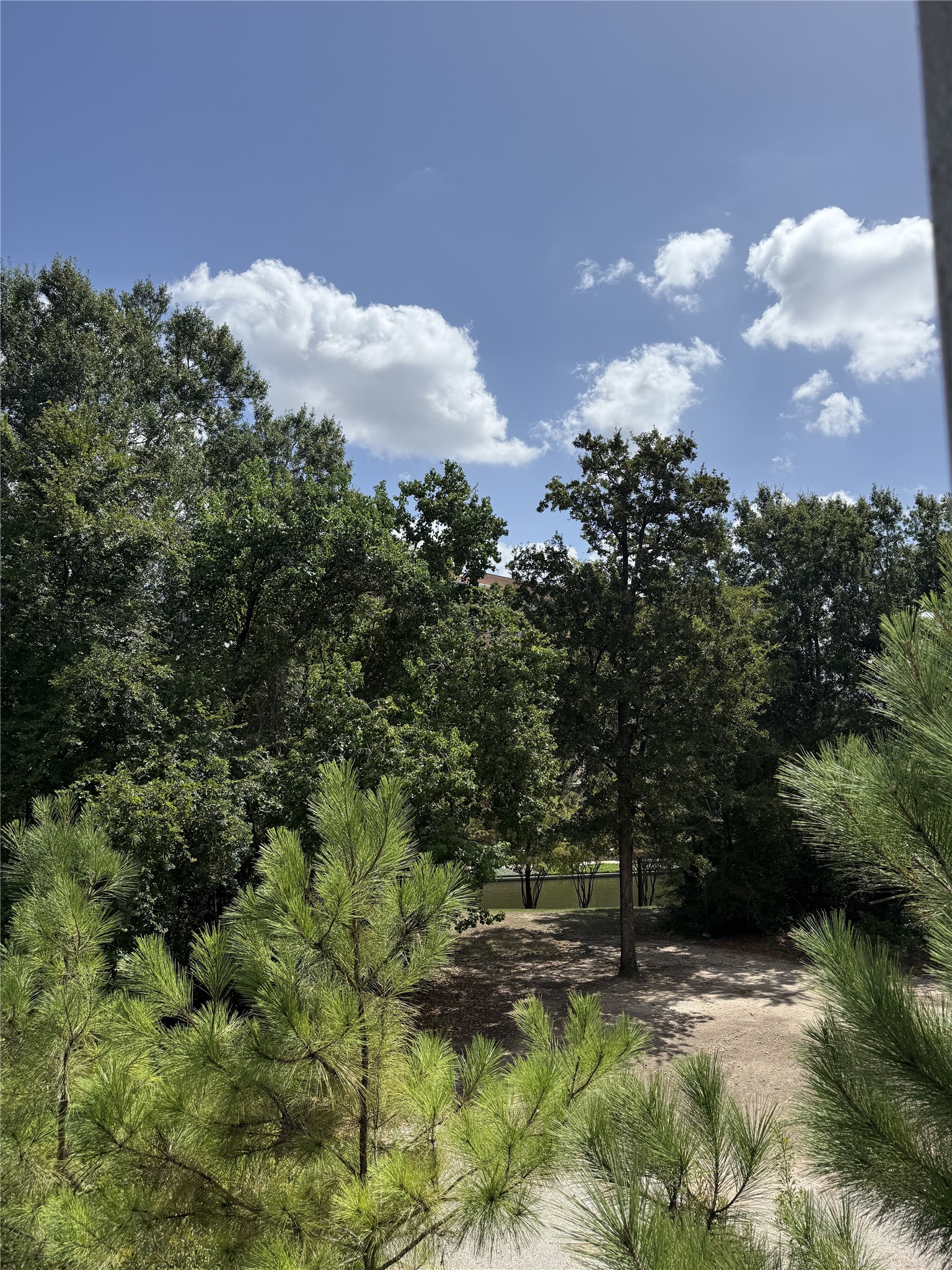 2400 High Timbers Drive Property Photo 12