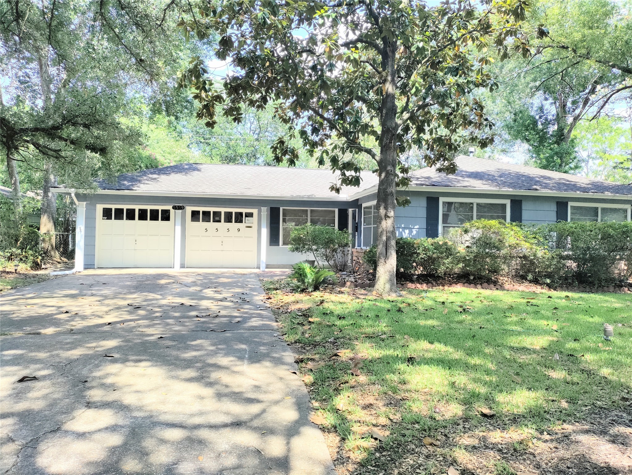 5559 Aspen Street Property Photo 1