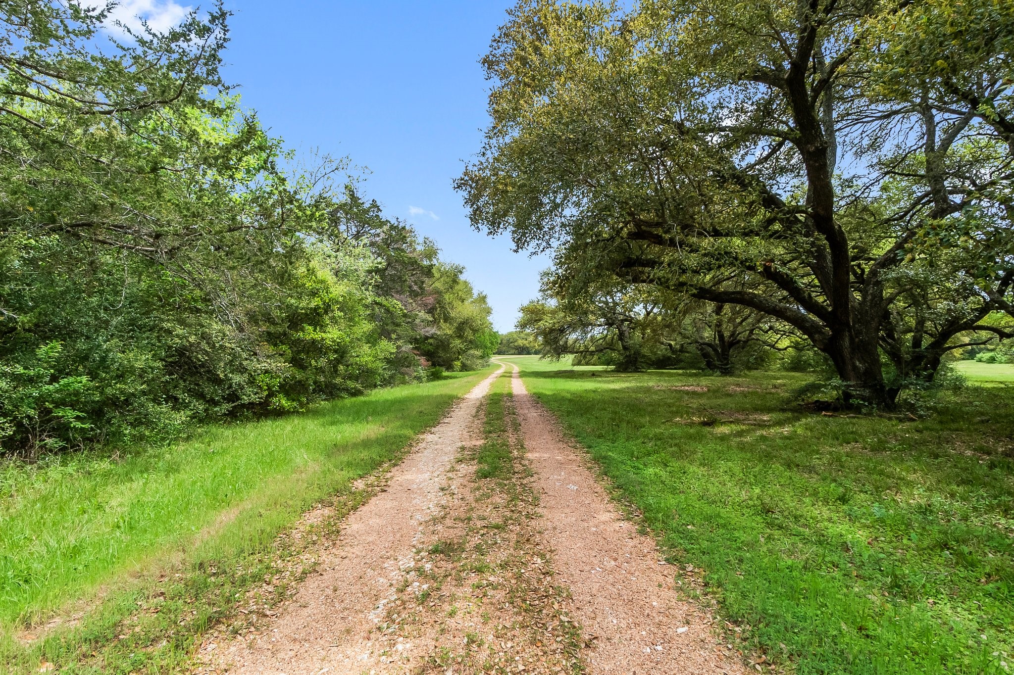 2982 Fm 2935 Road Property Photo 8