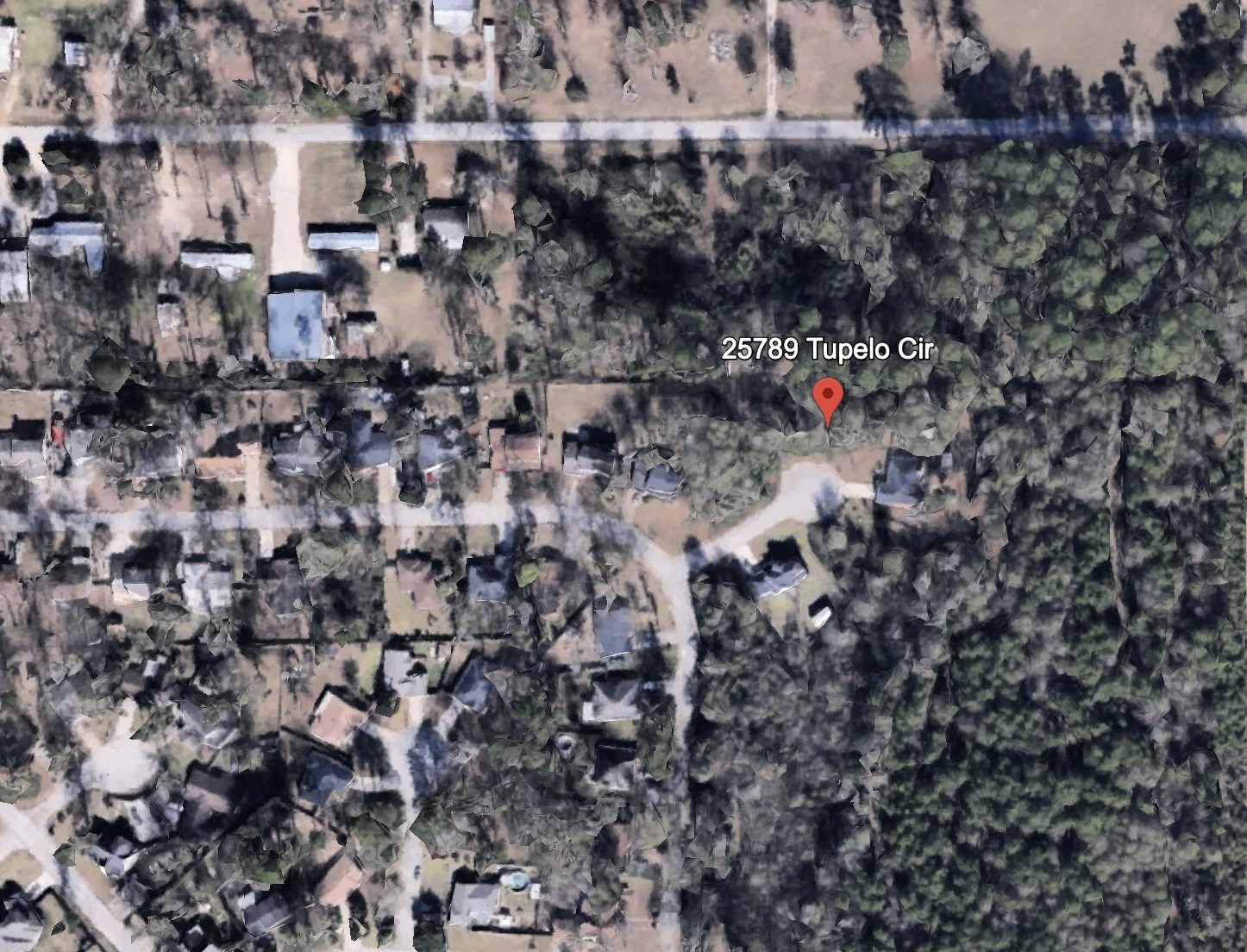 25789 Tupelo Circle Property Photo 4