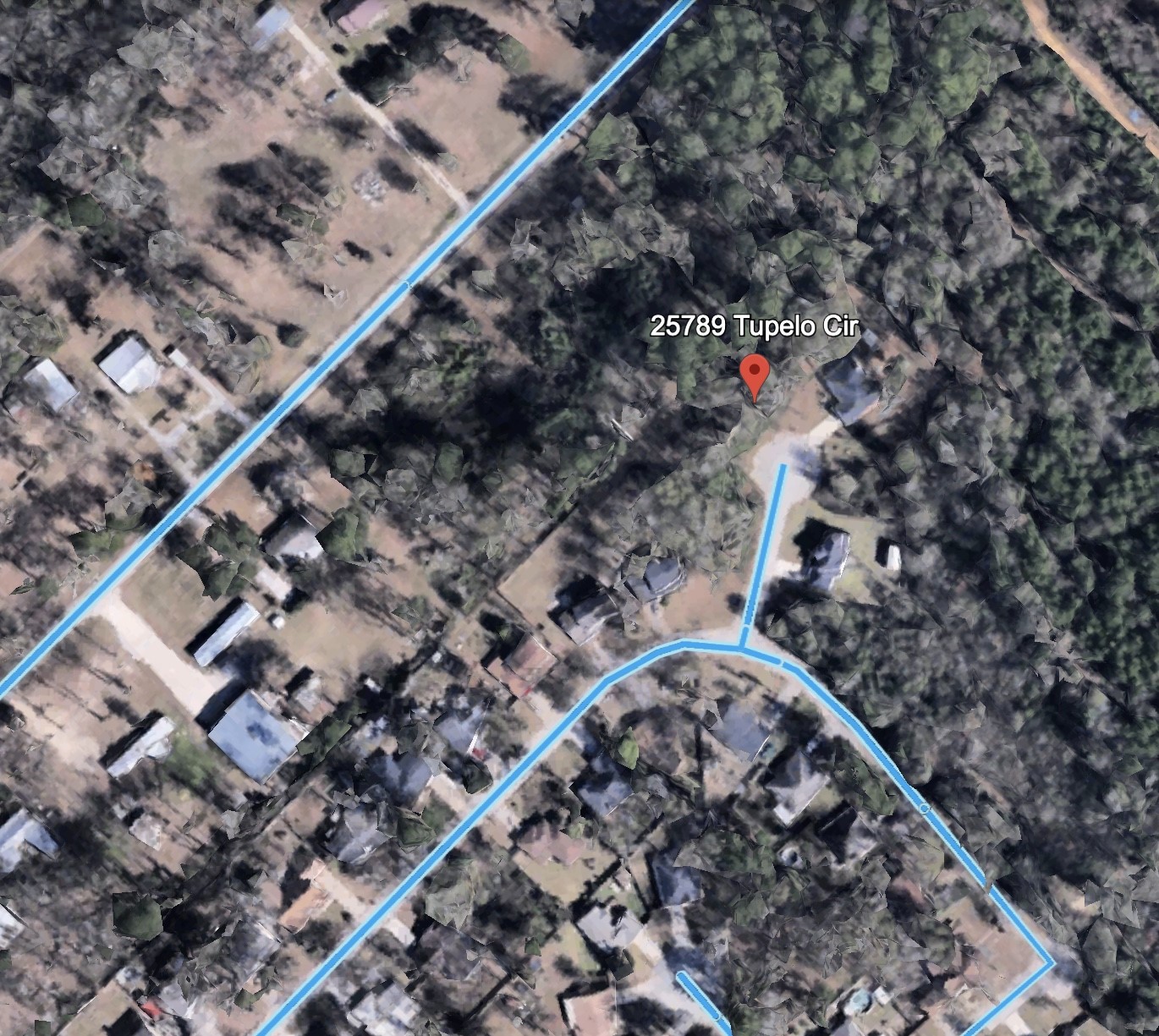 25789 Tupelo Circle Property Photo 5