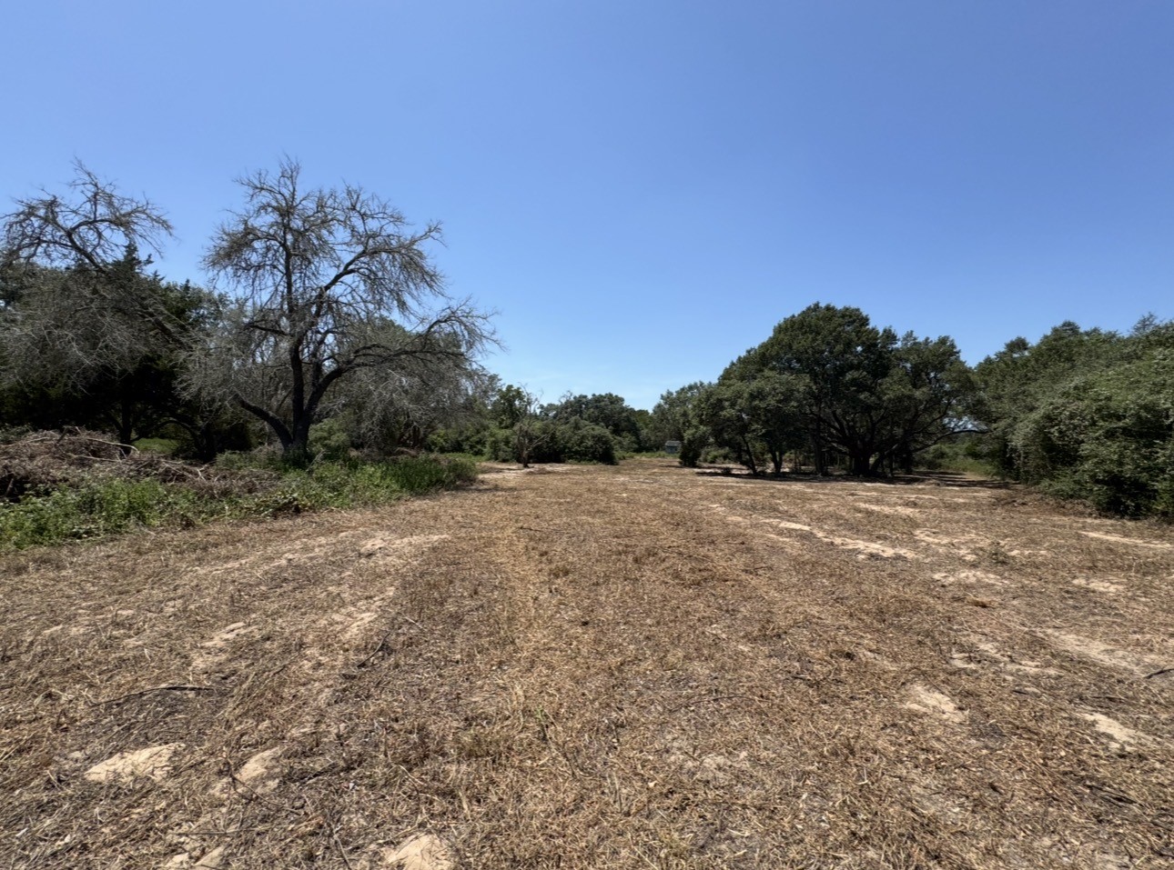 0 State Hwy 71 Property Photo 6