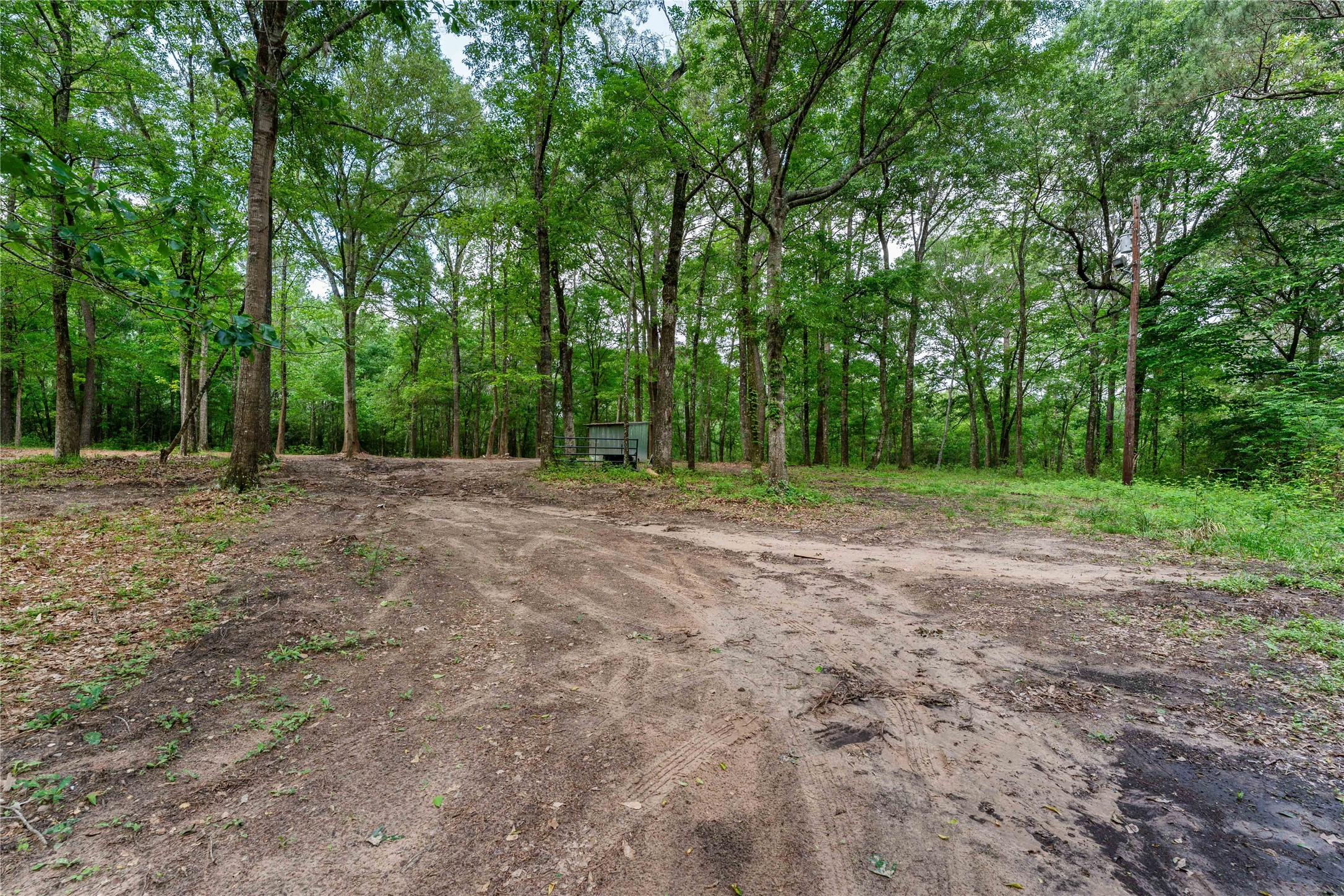 23619 Sharp Road Property Photo 2