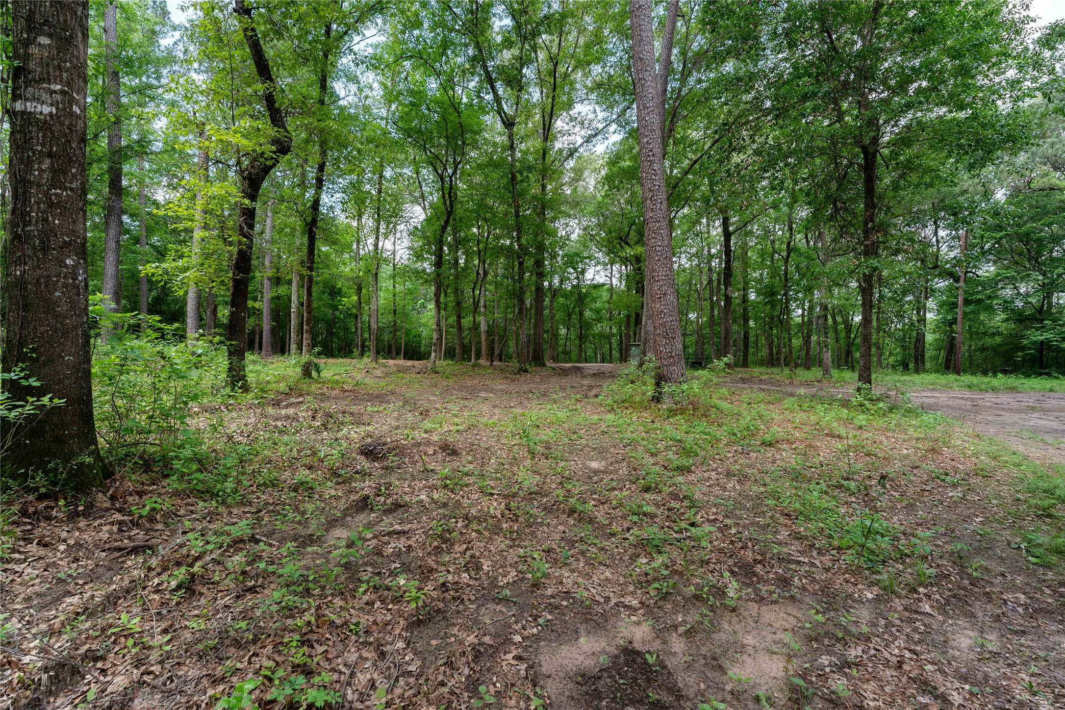 23619 Sharp Road Property Photo 3