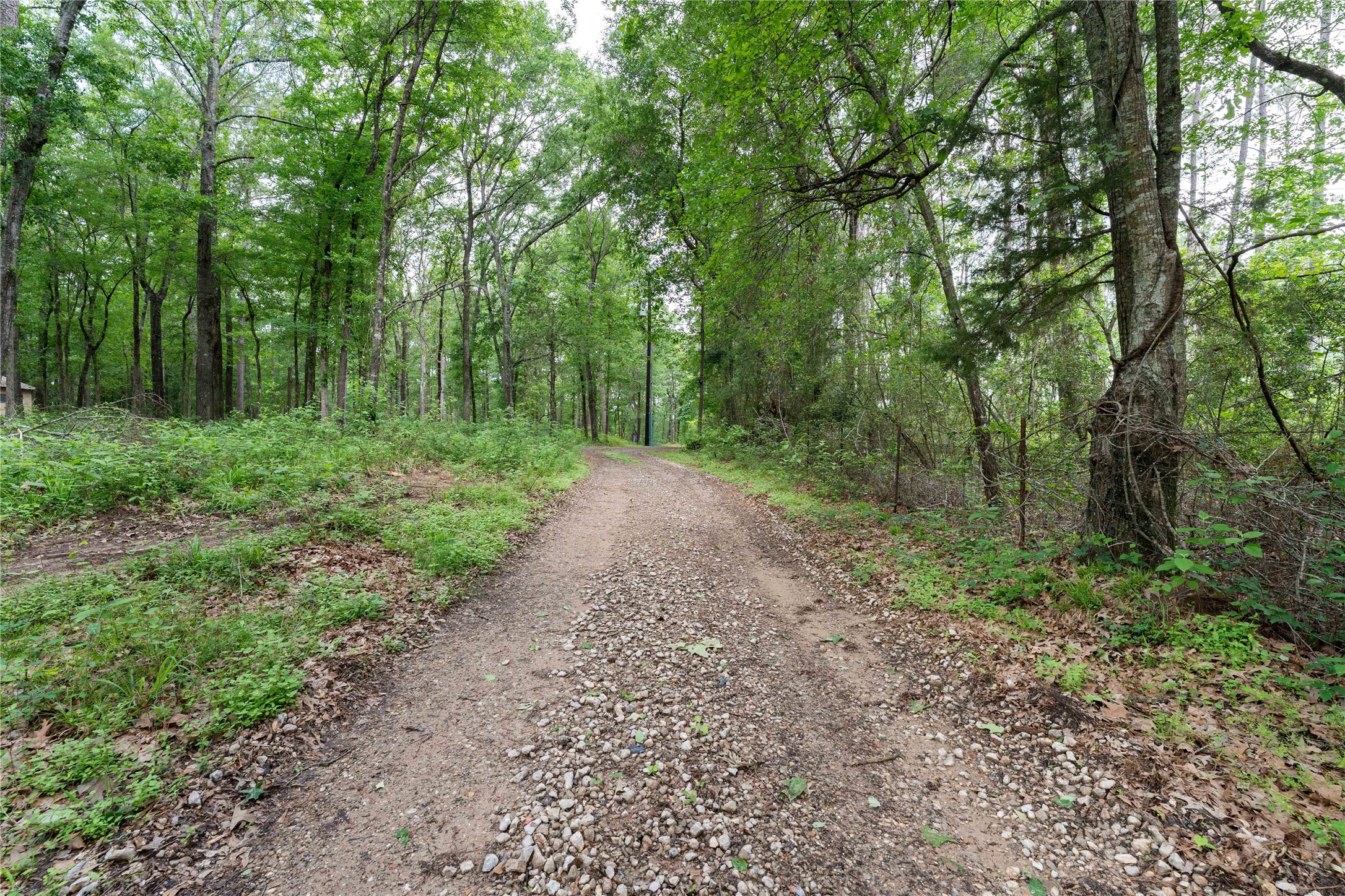 23619 Sharp Road Property Photo 4