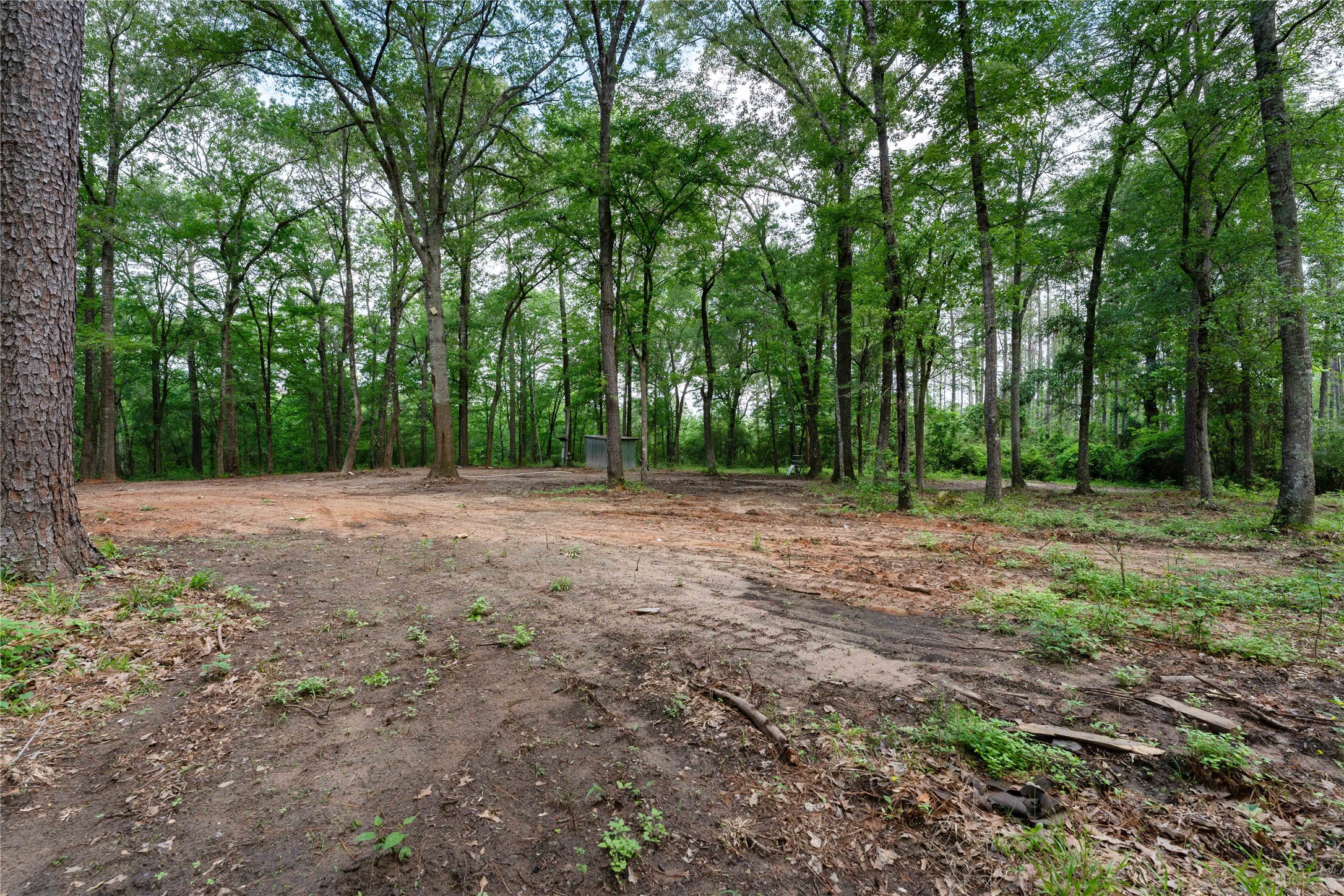 23619 Sharp Road Property Photo 5