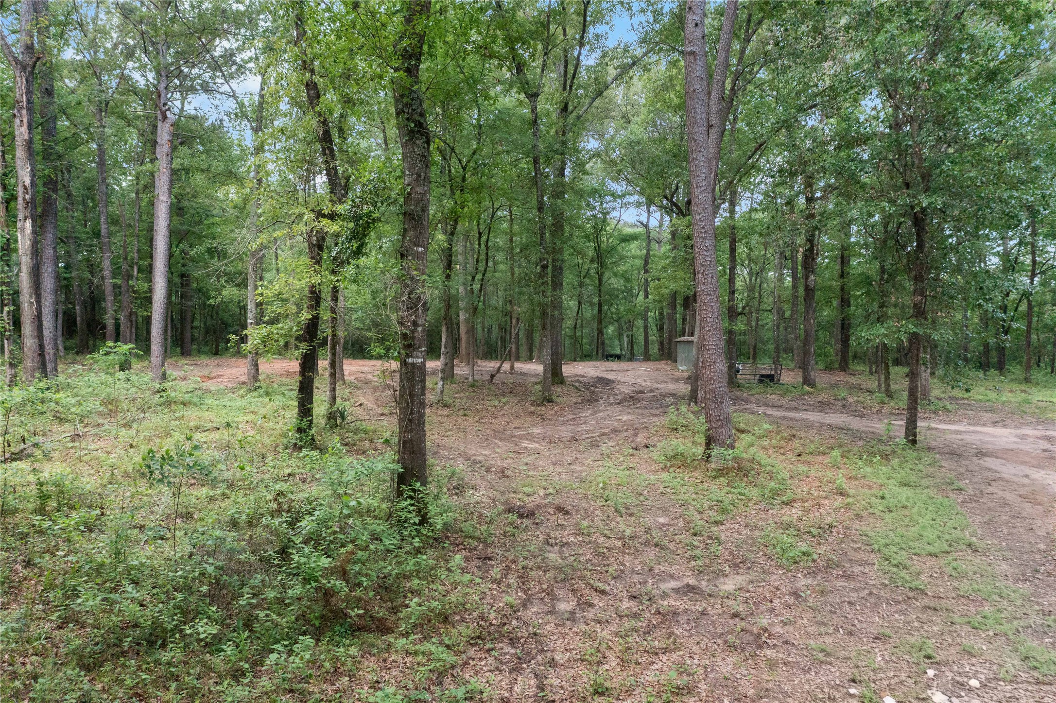 23619 Sharp Road Property Photo 6