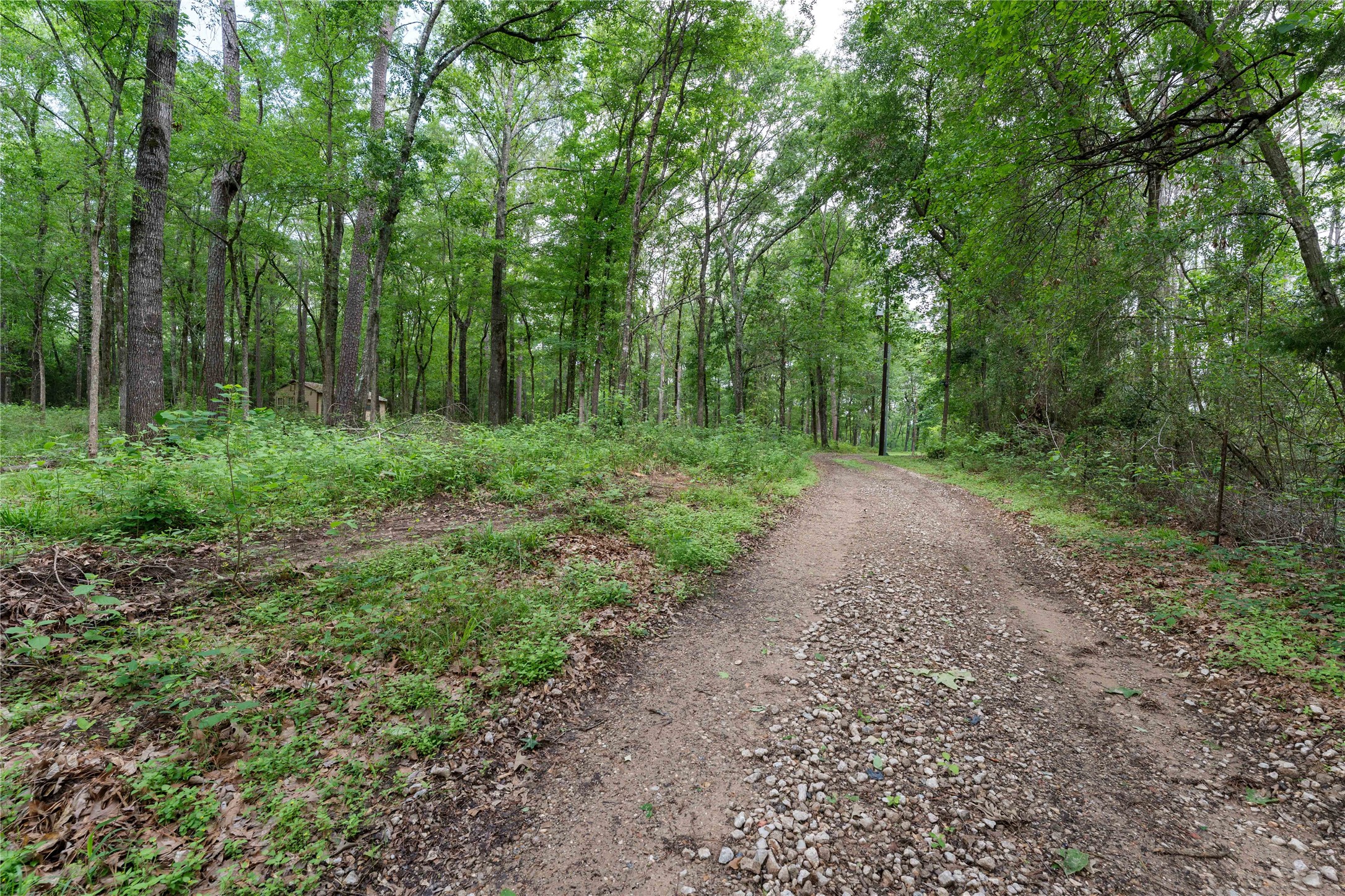 23619 Sharp Road Property Photo 7