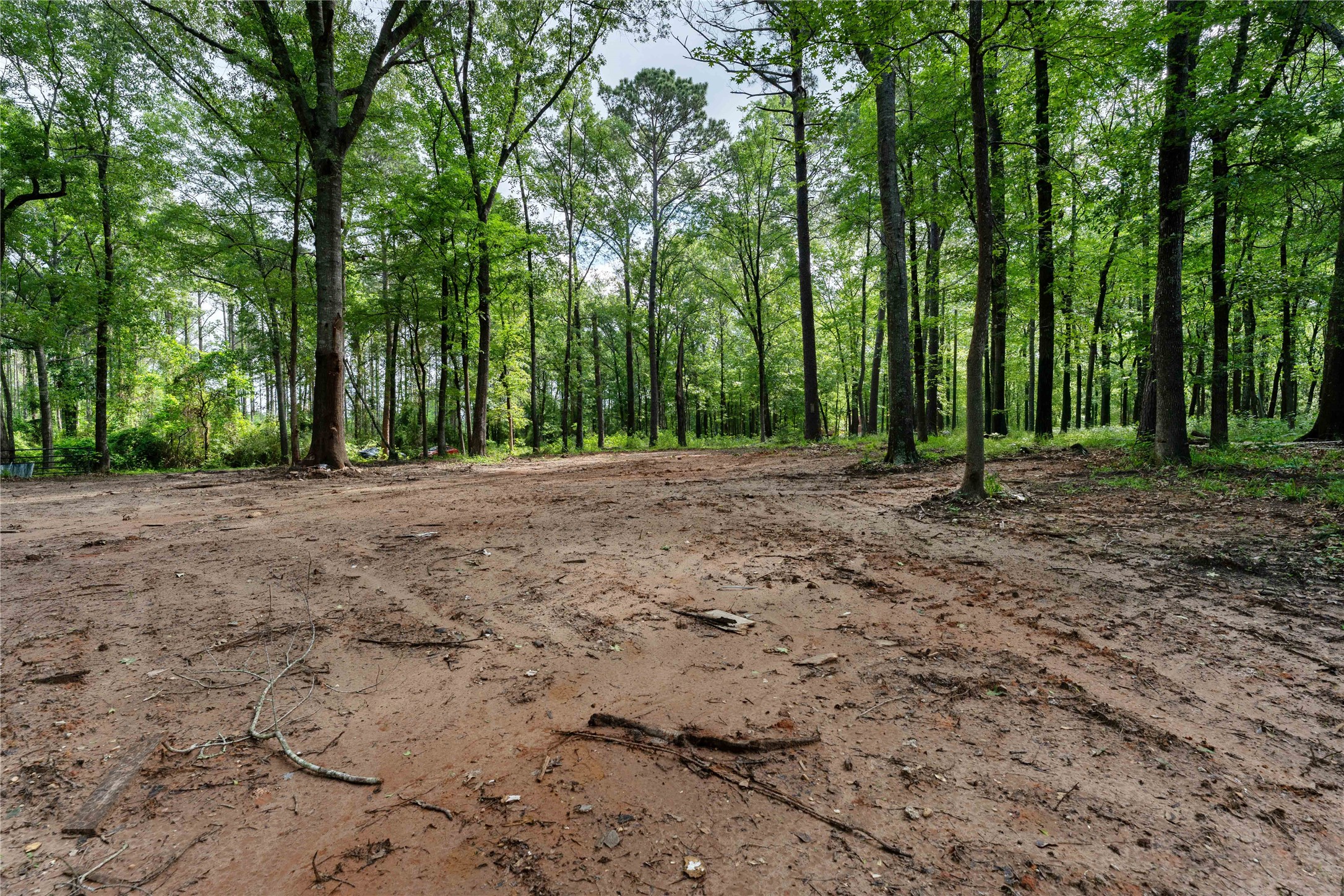 23619 Sharp Road Property Photo 8