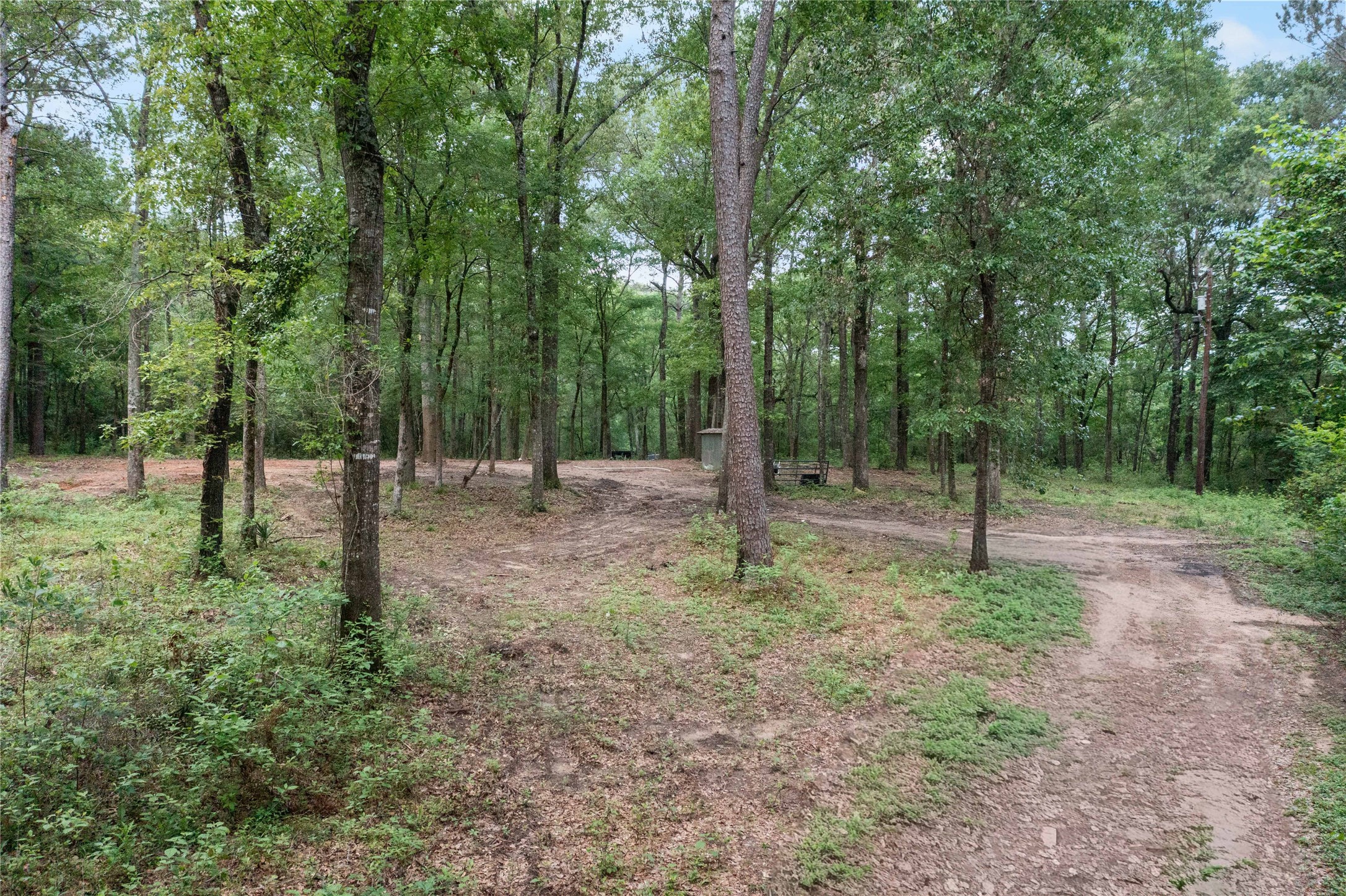 23619 Sharp Road Property Photo 9