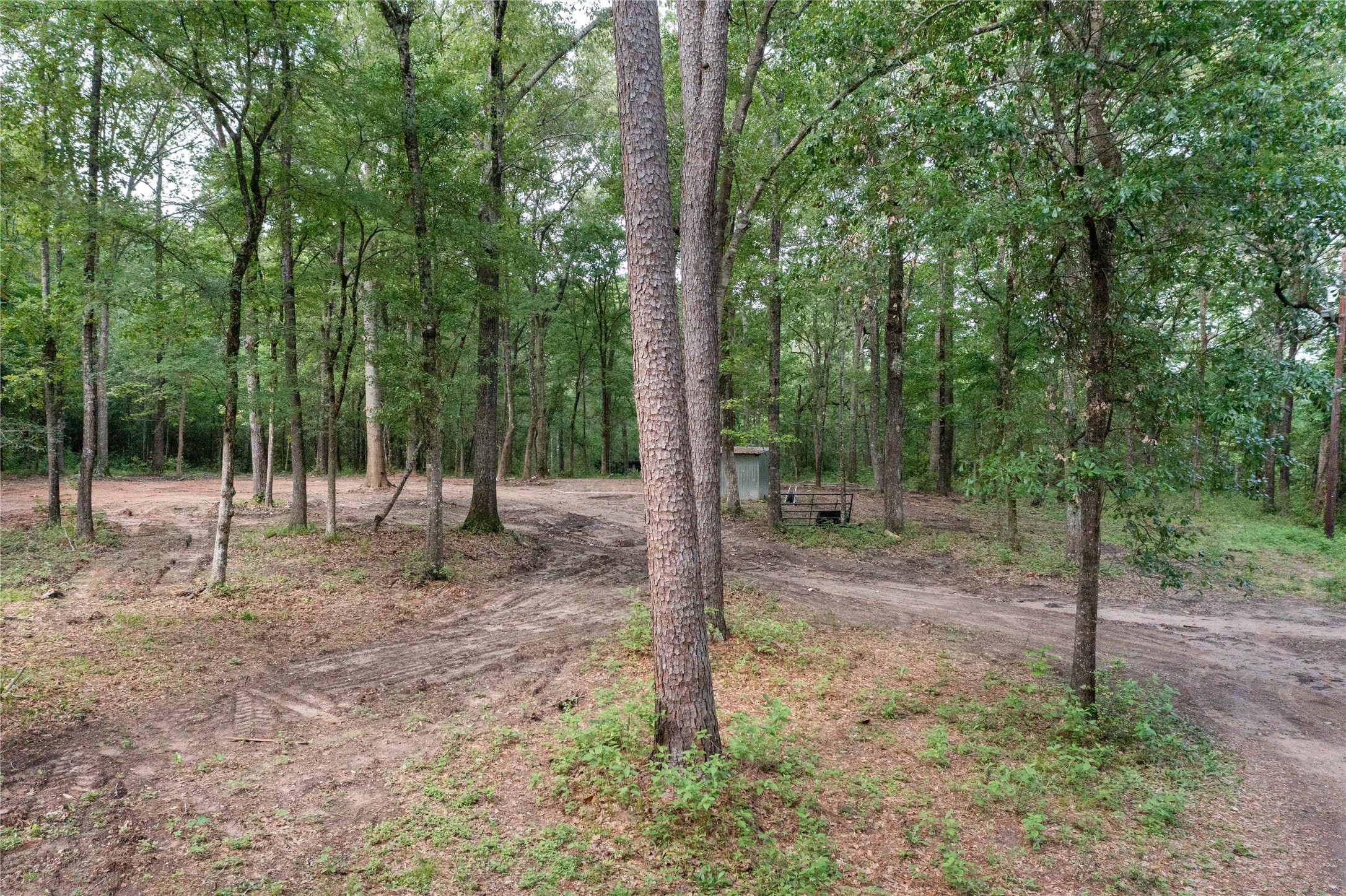 23619 Sharp Road Property Photo 10