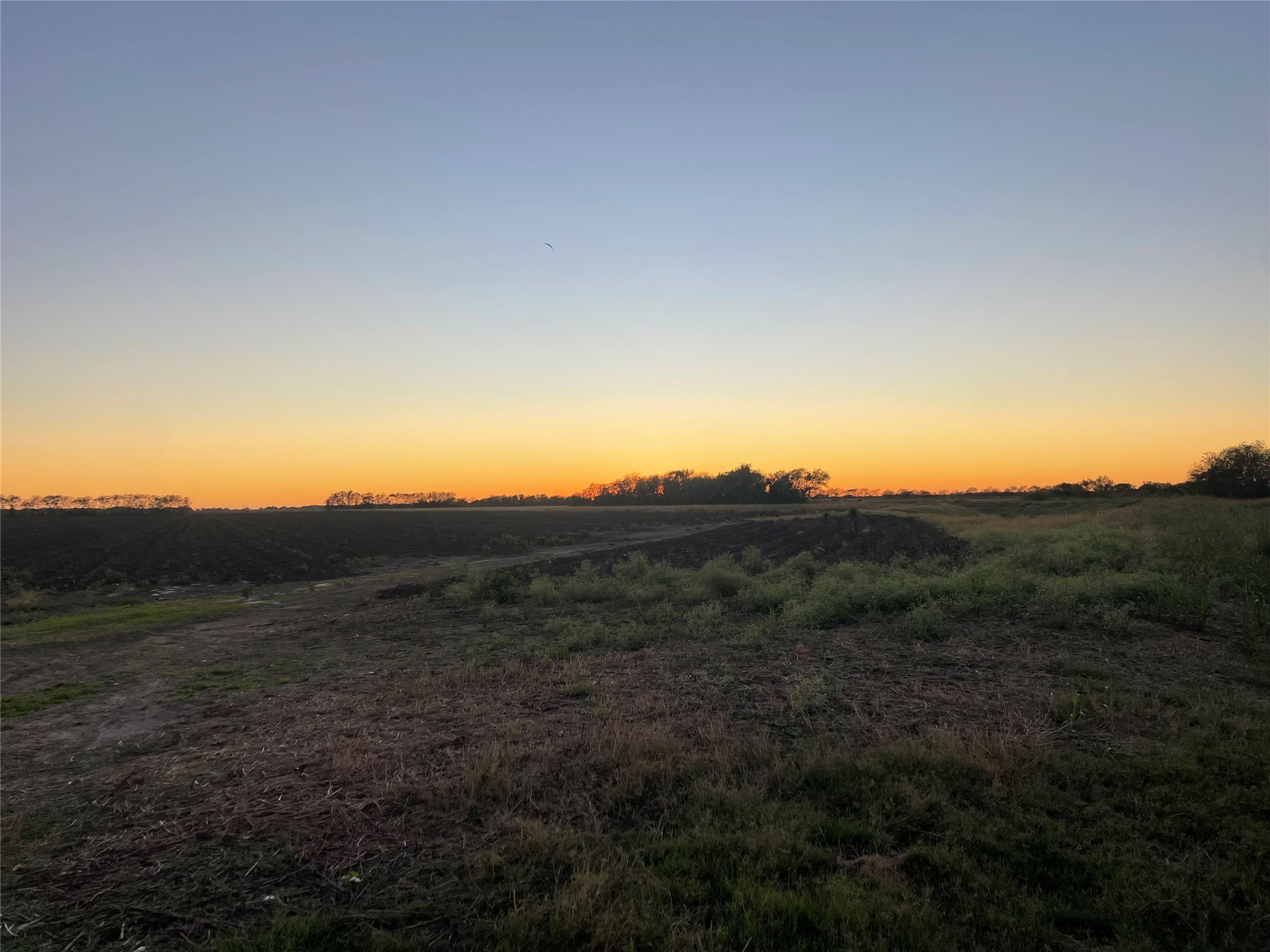 12438 Zamanek Road Property Photo 6
