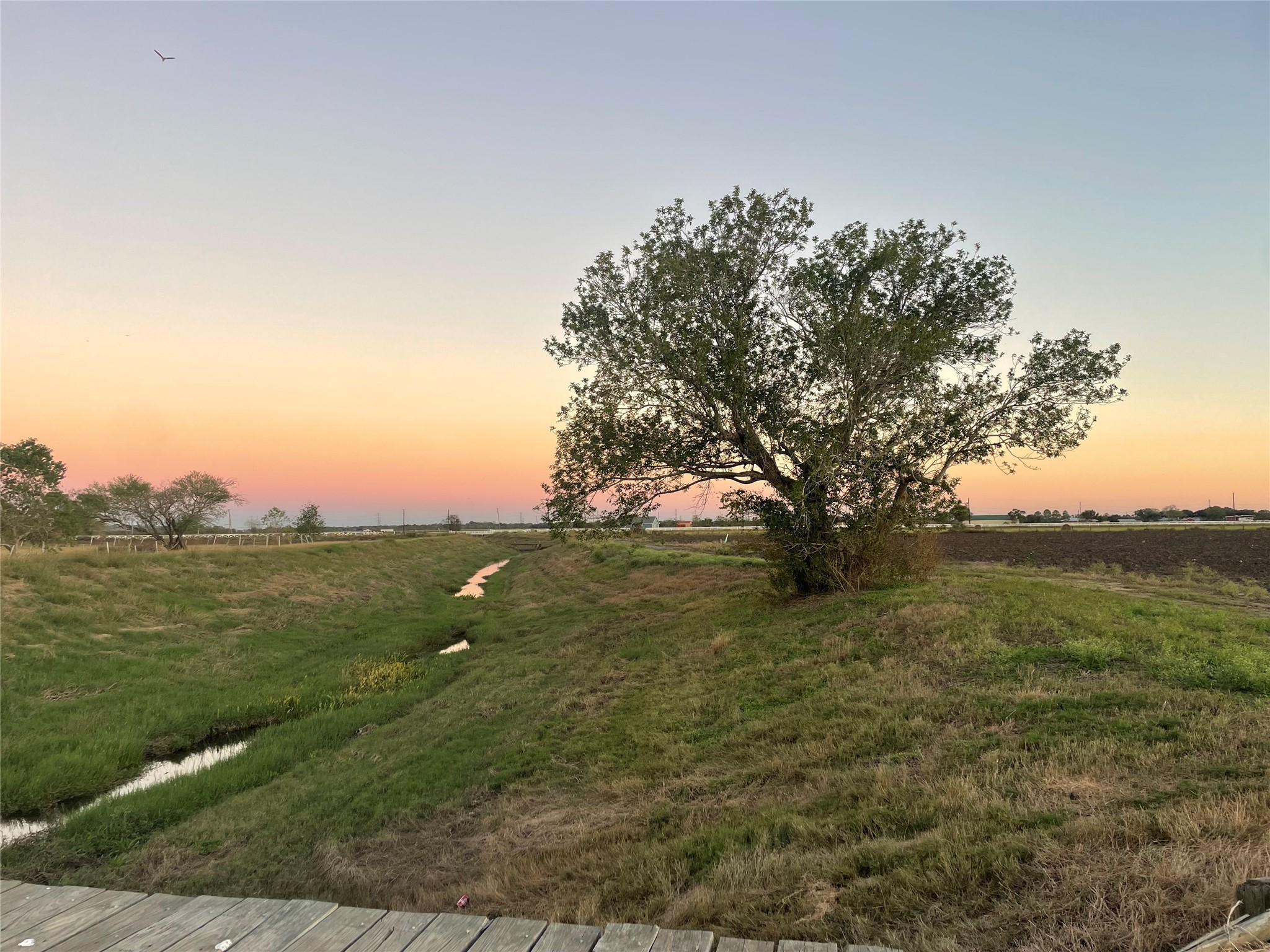 12438 Zamanek Road Property Photo 8