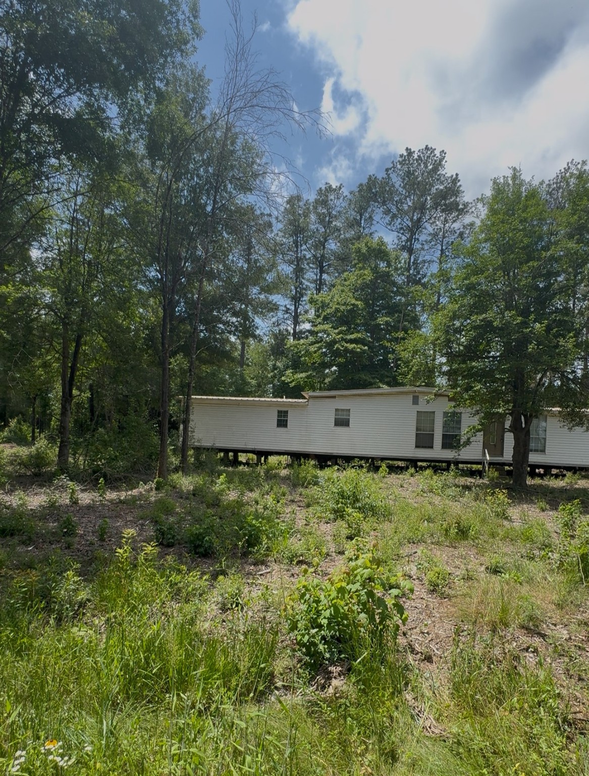 0 Feldschau Property Photo 1