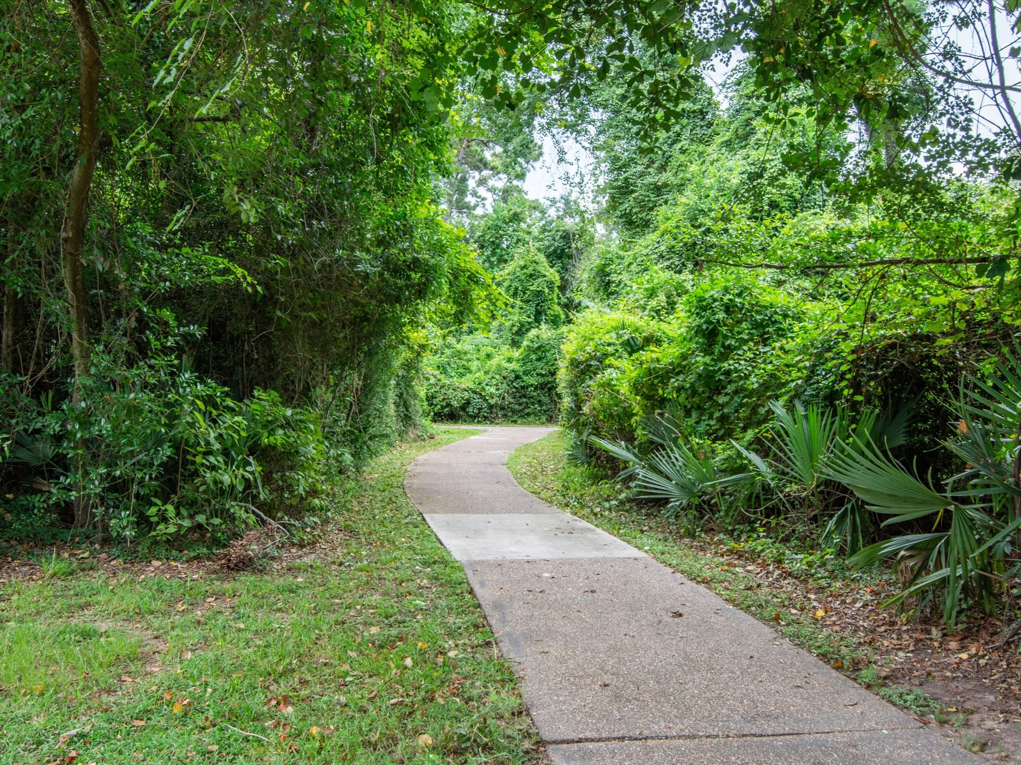 2931 Valley Rose Drive Property Photo 25