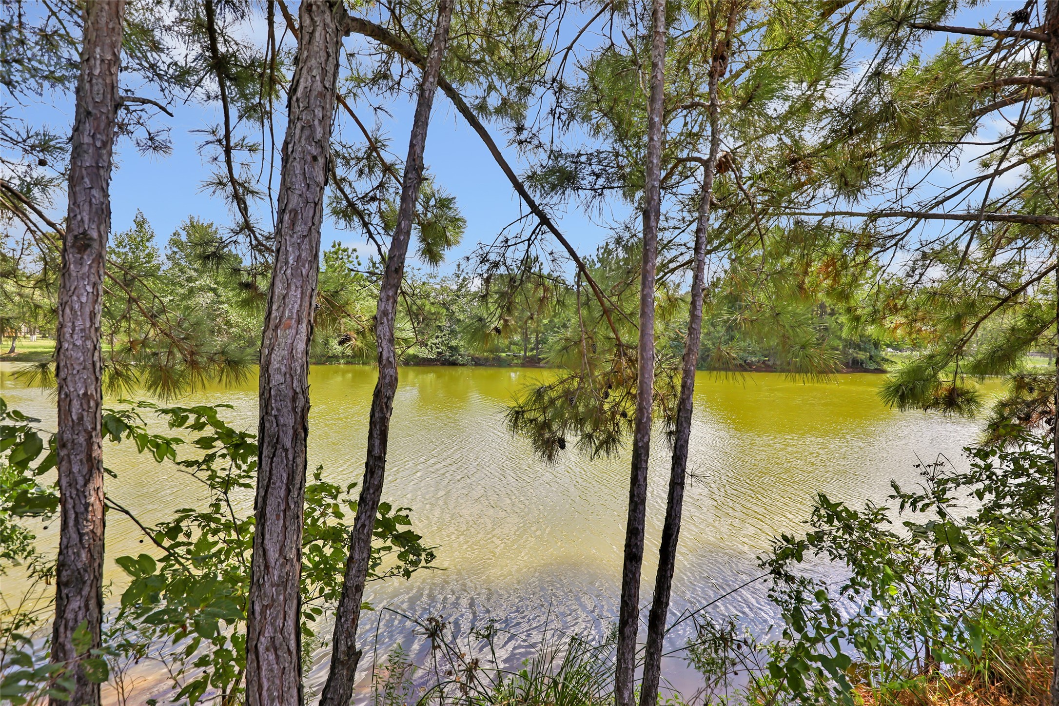 15933 Enloe Street Property Photo 44