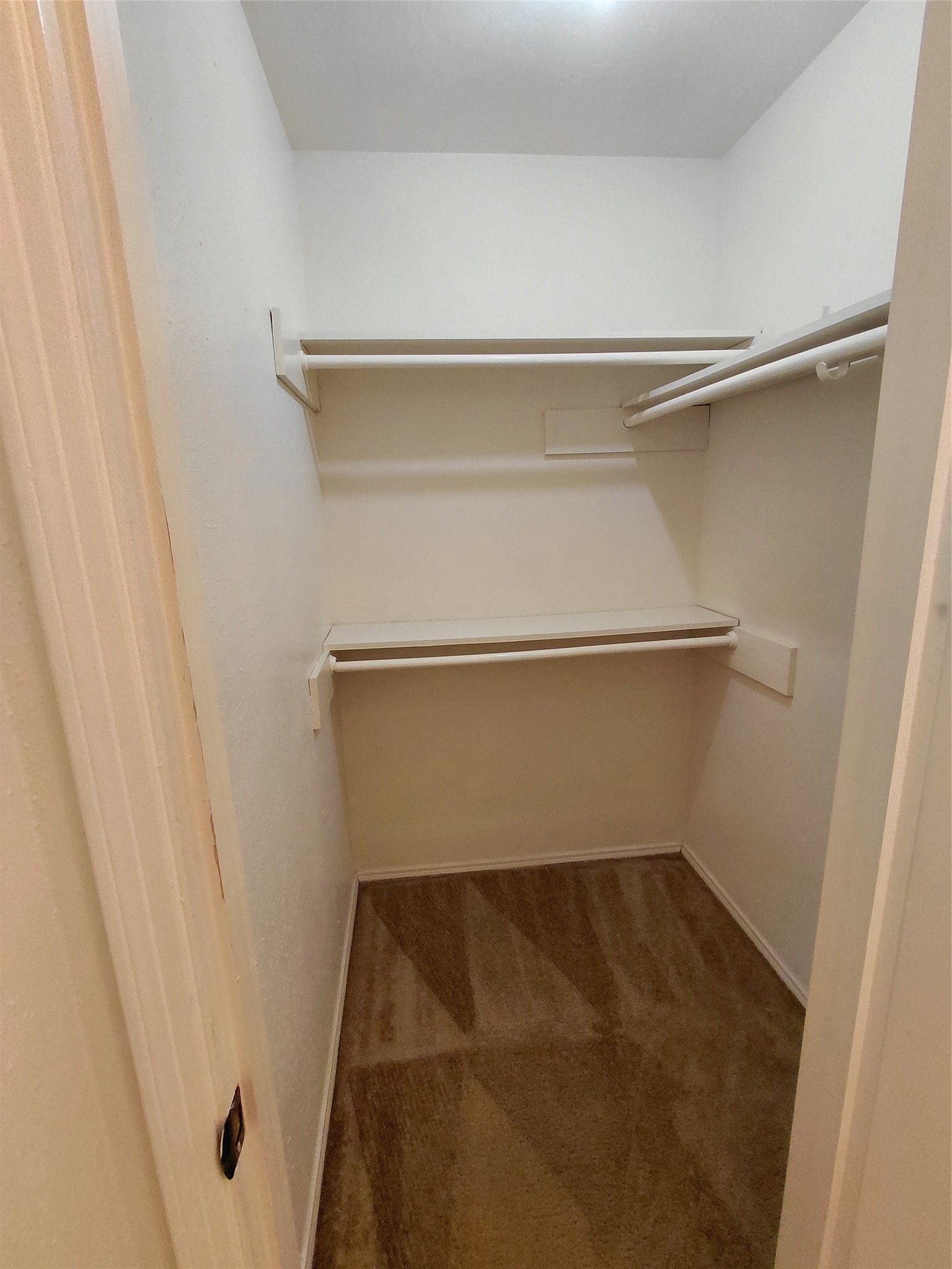 3203 Mourning Dove Drive Property Photo 22