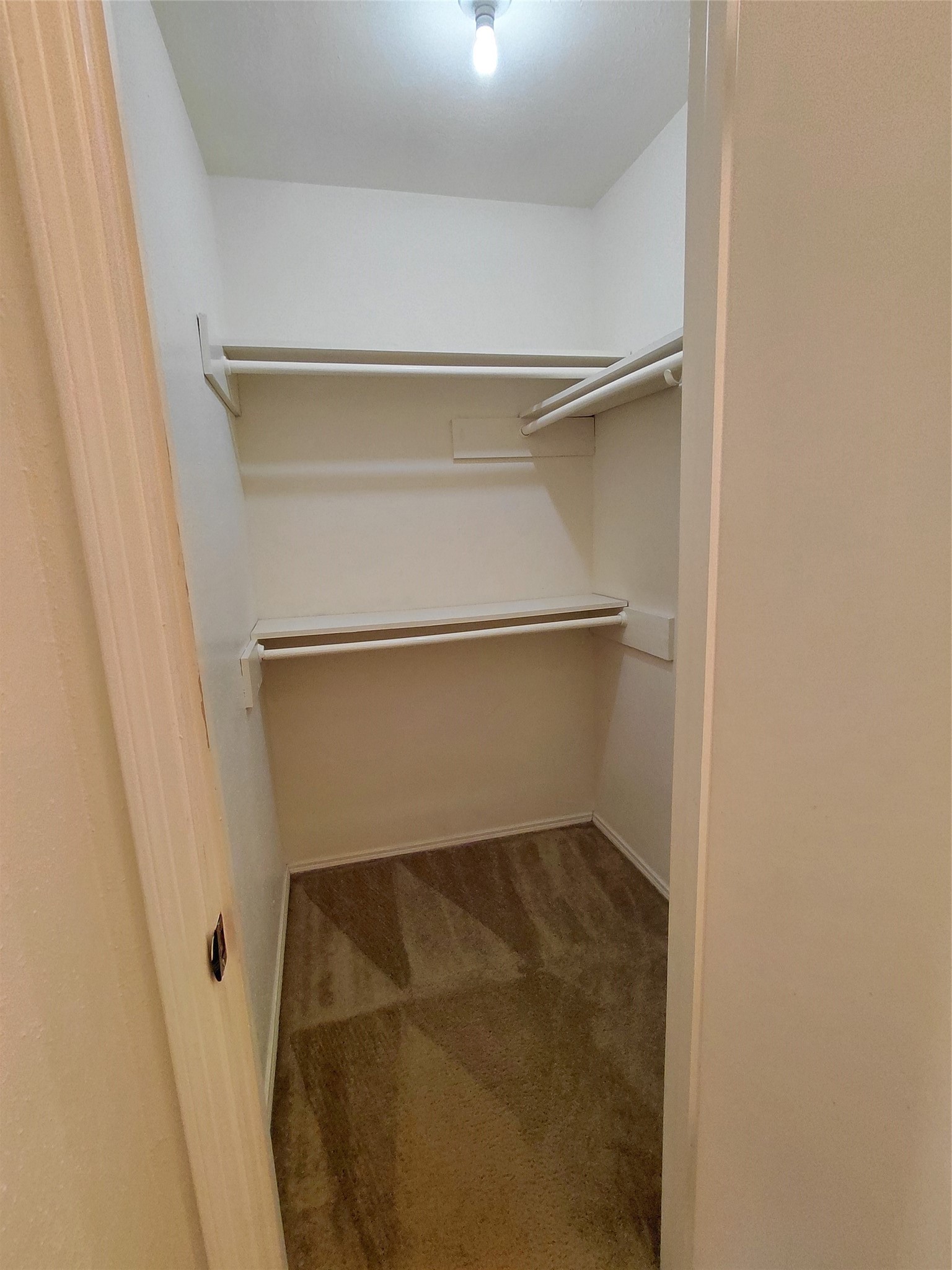3203 Mourning Dove Drive Property Photo 23