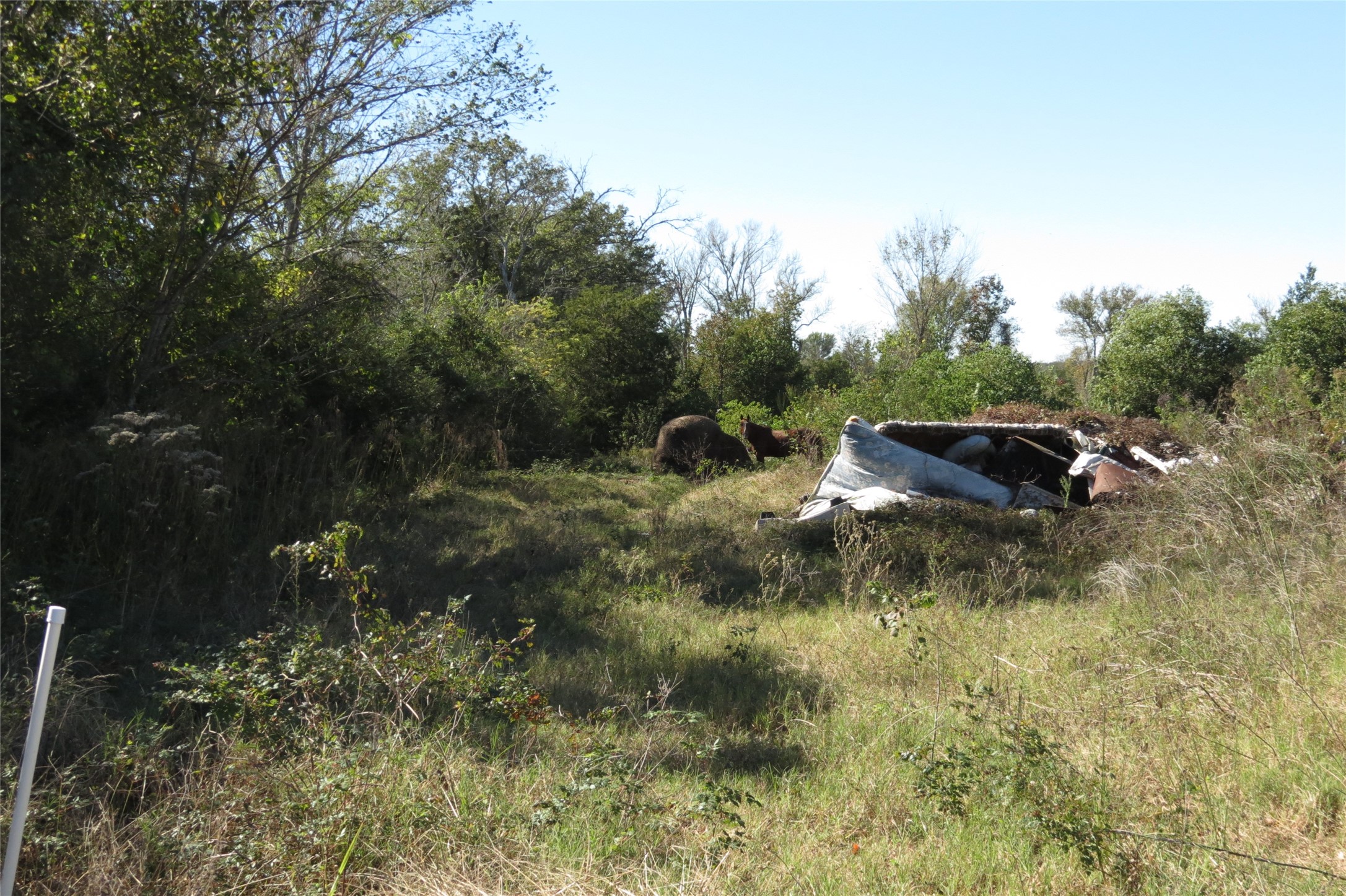343 Evie Davidson Road Property Photo 5