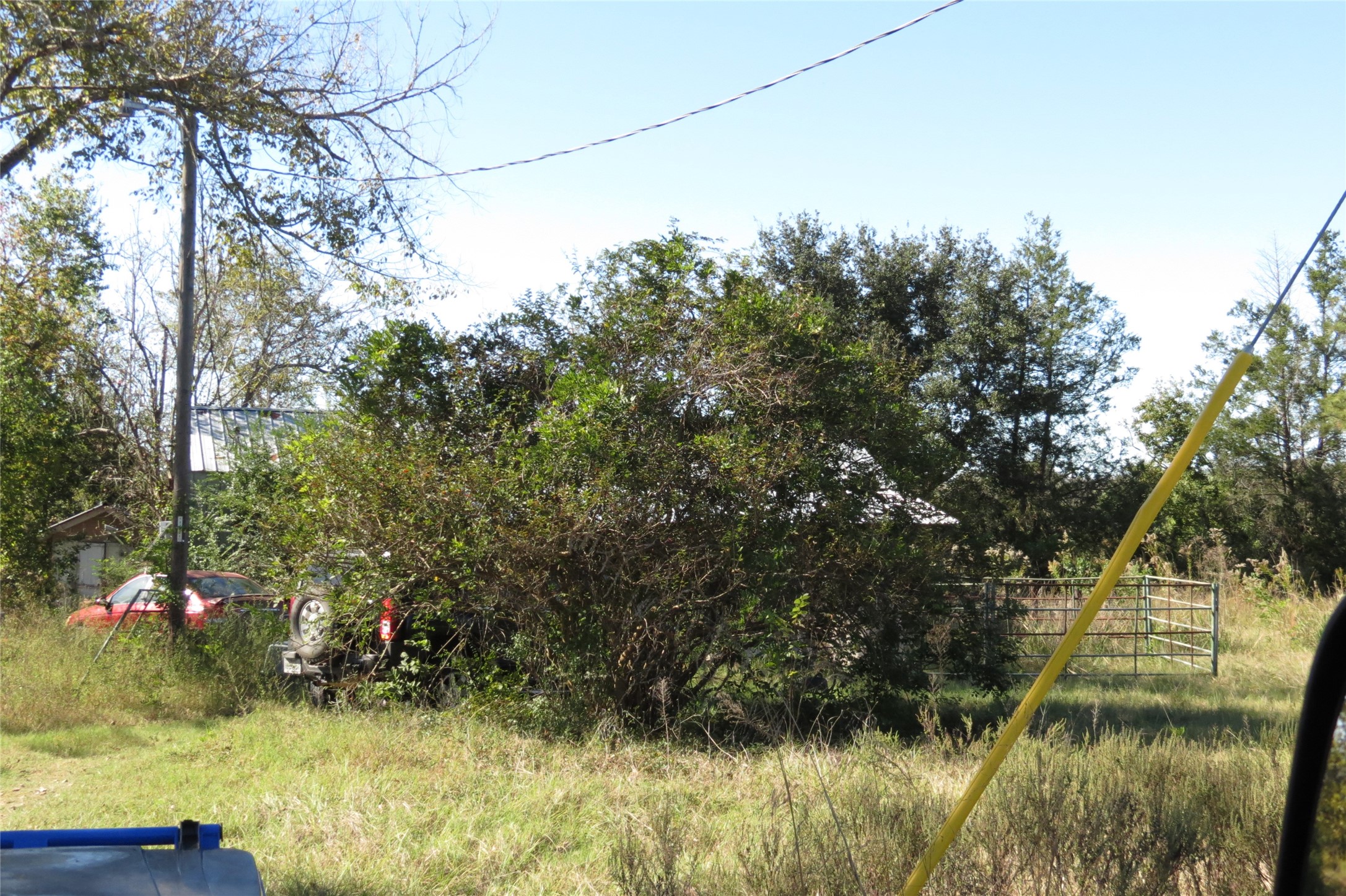 343 Evie Davidson Road Property Photo 7