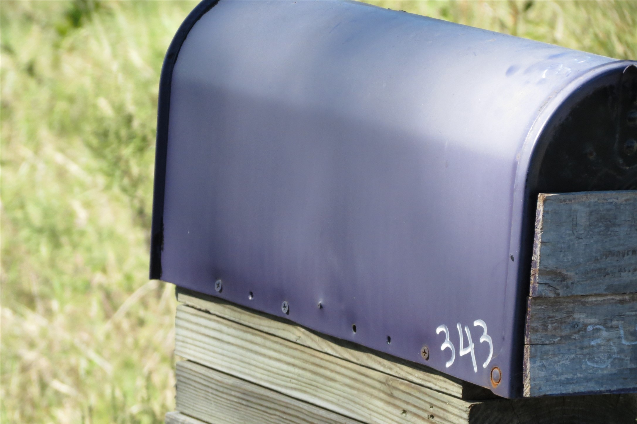 343 Evie Davidson Road Property Photo 8