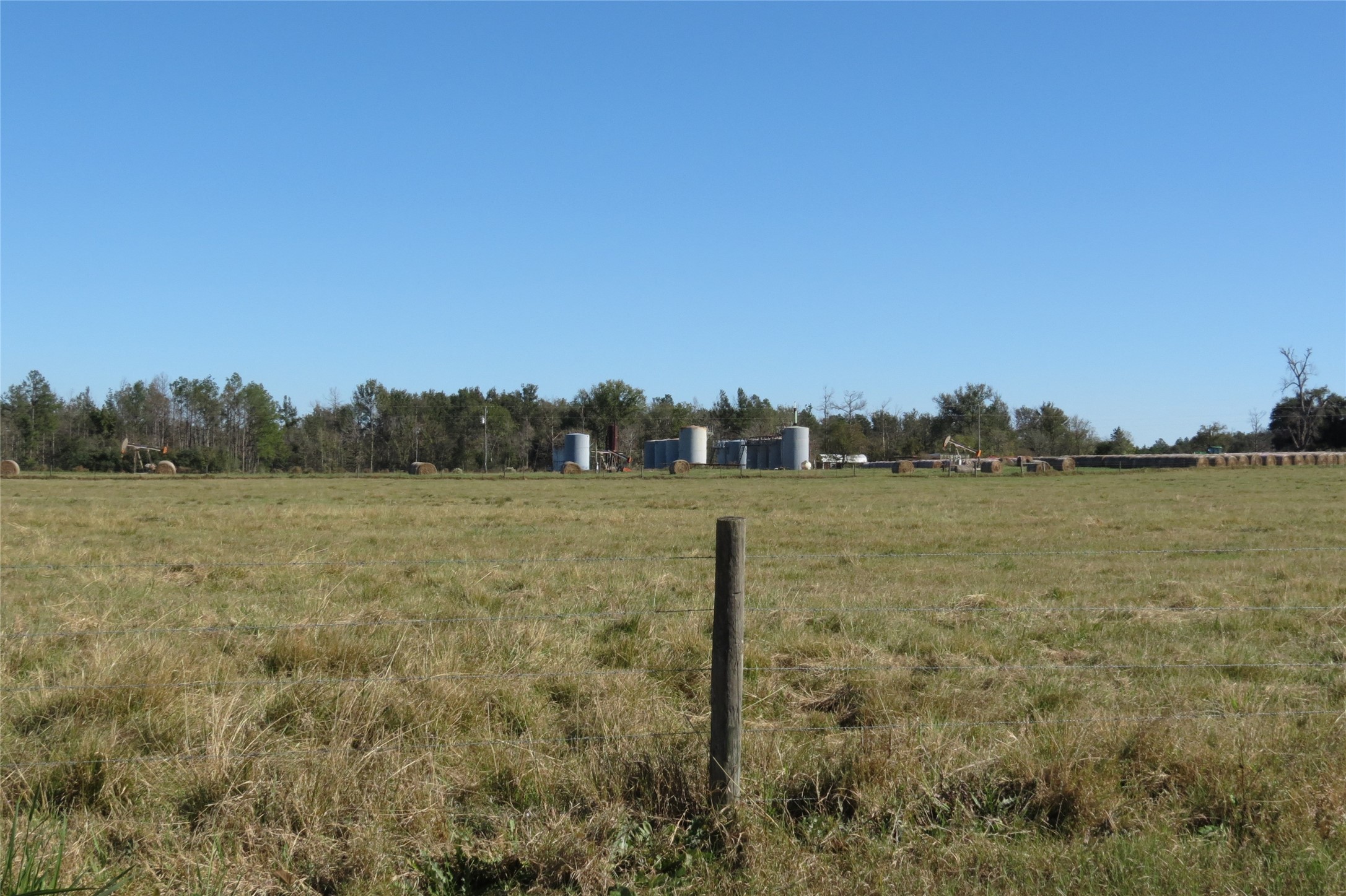 343 Evie Davidson Road Property Photo 12