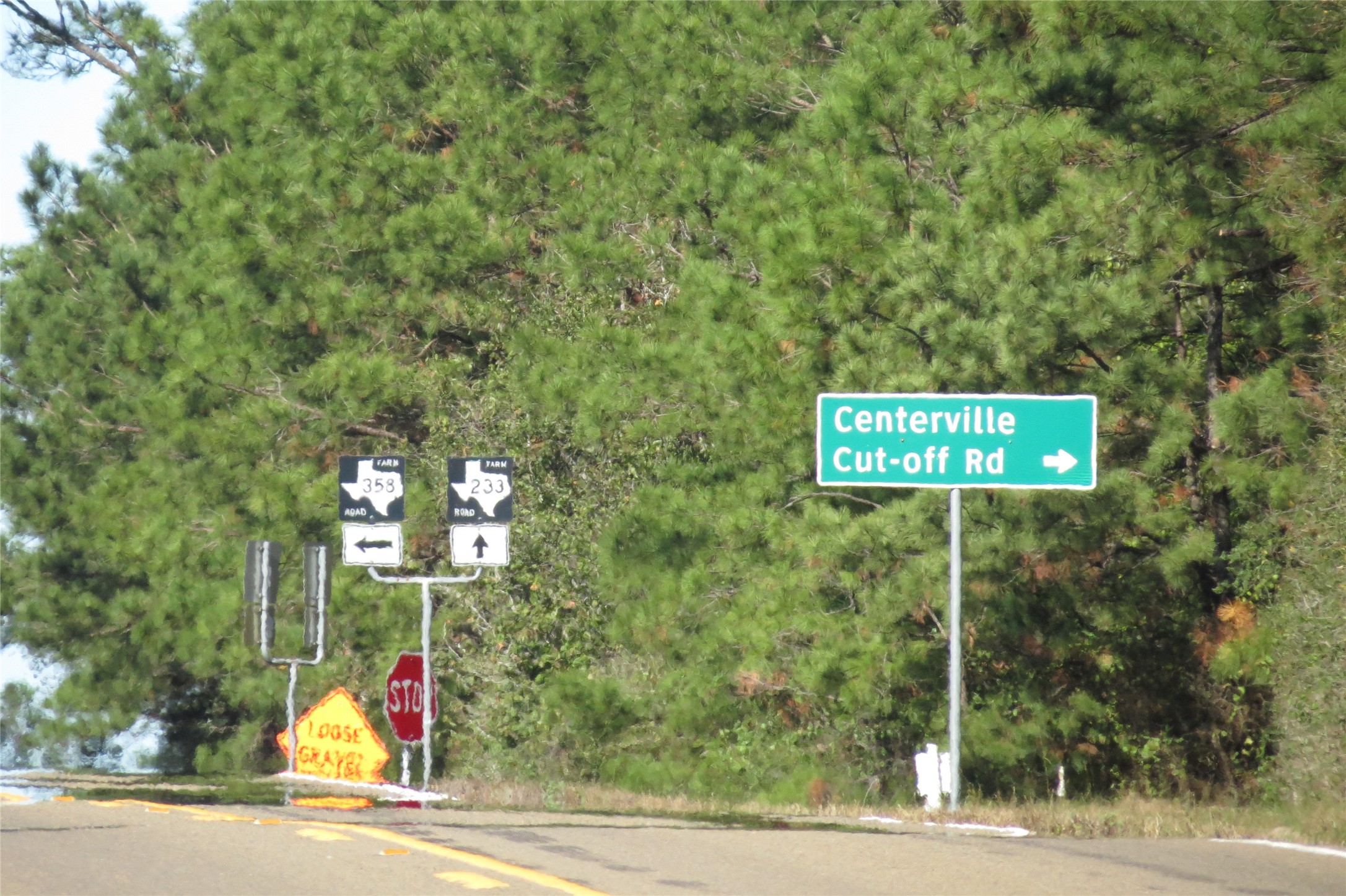 343 Evie Davidson Road Property Photo 13