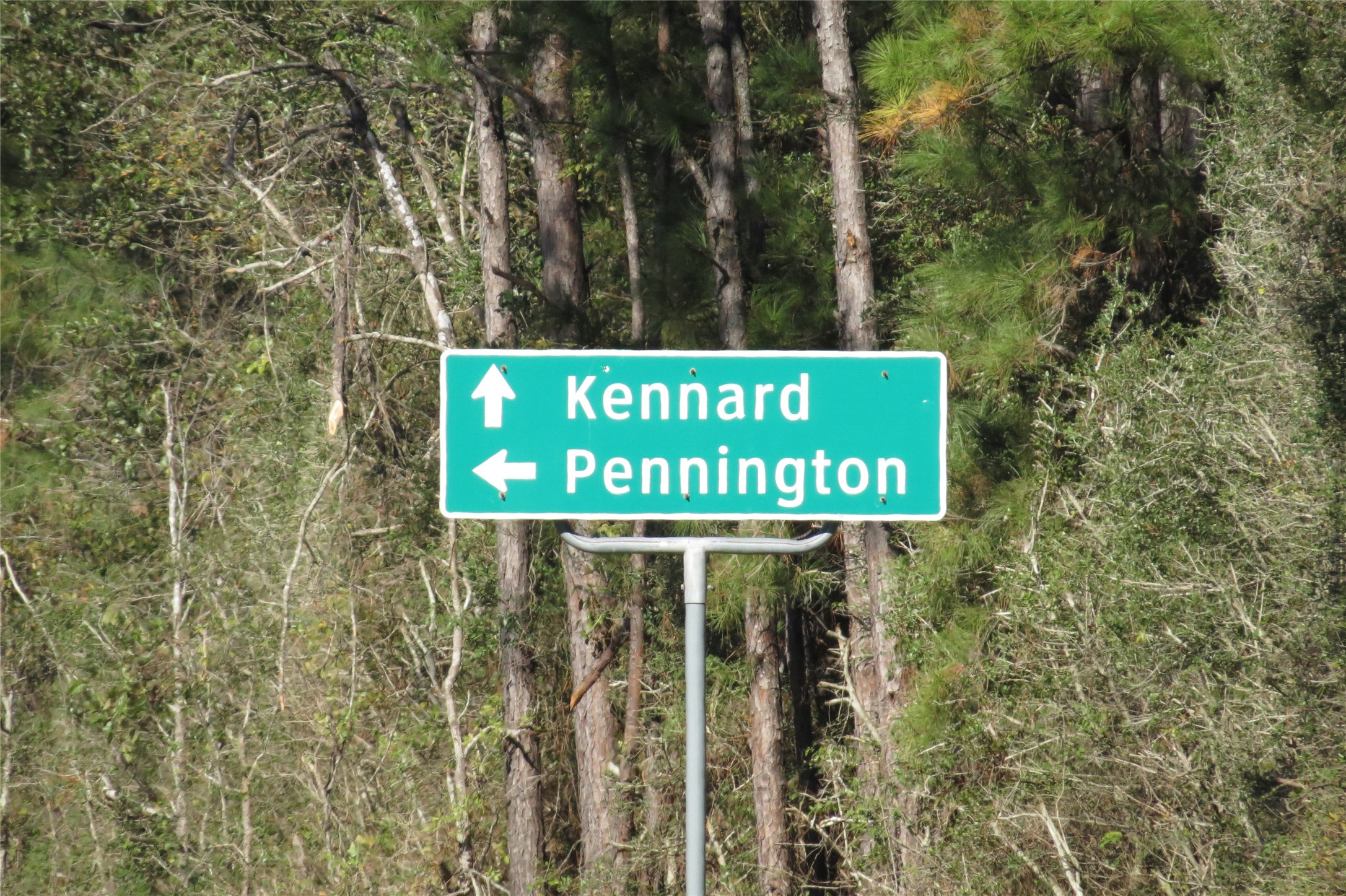 343 Evie Davidson Road Property Photo 14