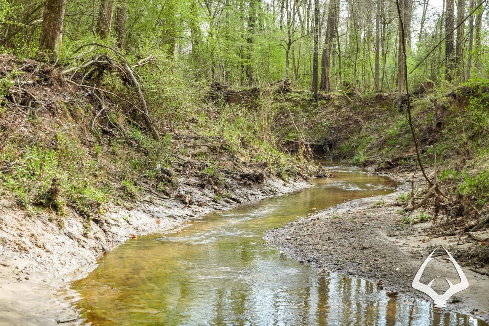 Tbd 2 Linn Flat Road Property Photo 1