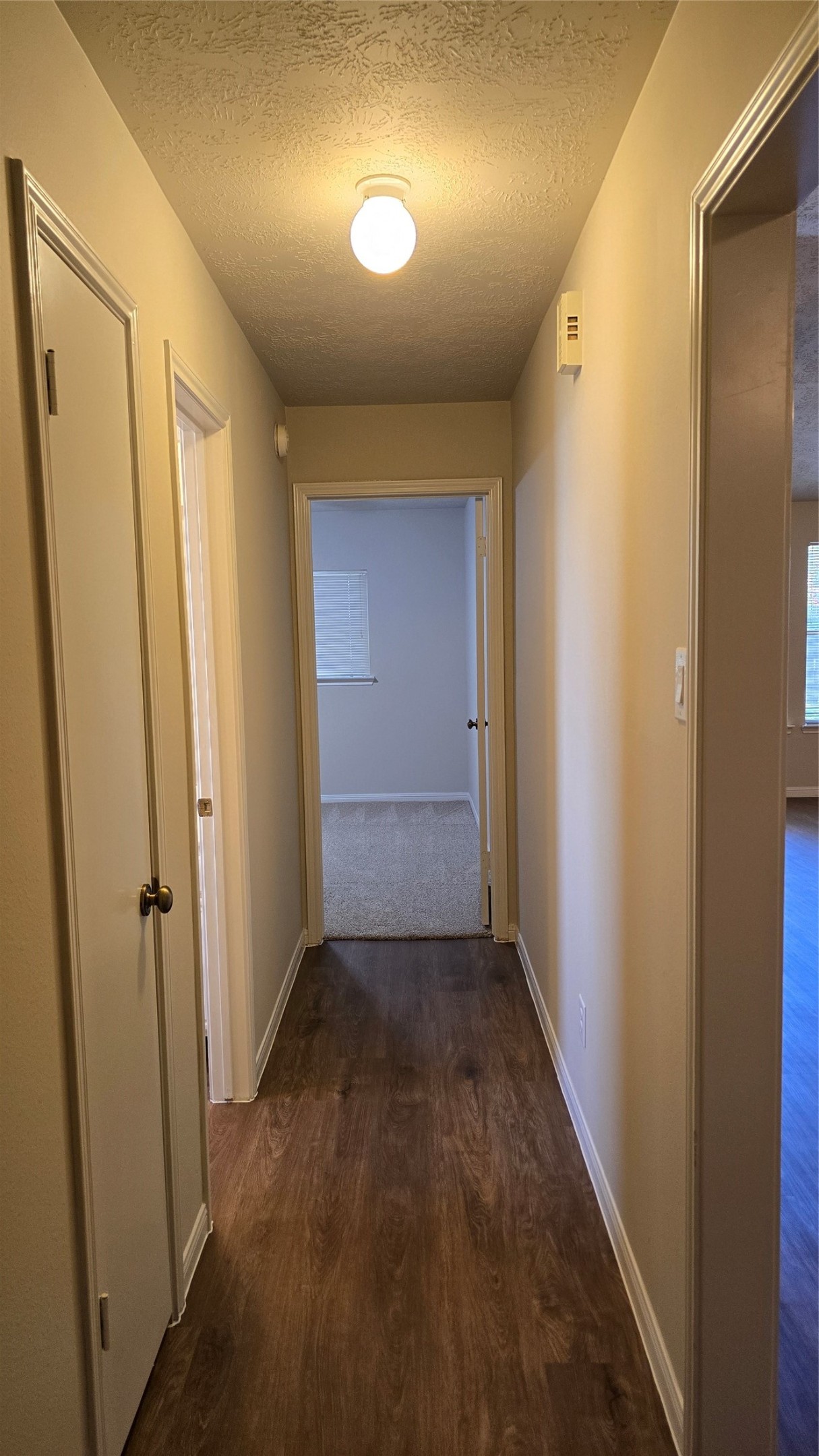 11102 Fall Breeze Drive Property Photo 16