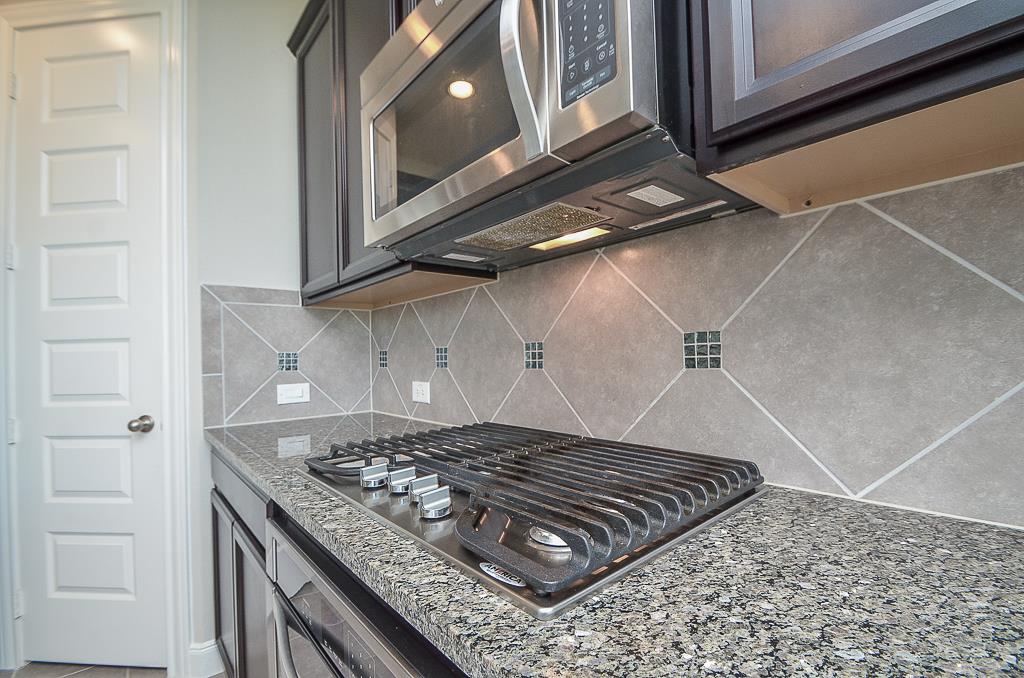 26930 Soapstone Terrace Lane Property Photo 8