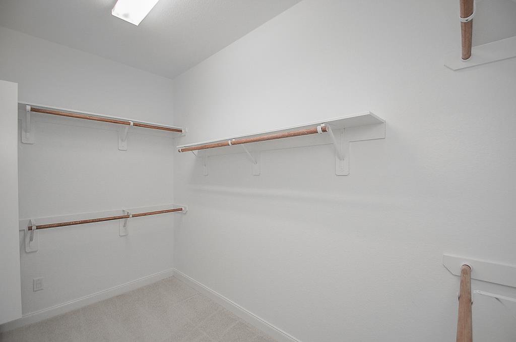 26930 Soapstone Terrace Lane Property Photo 19