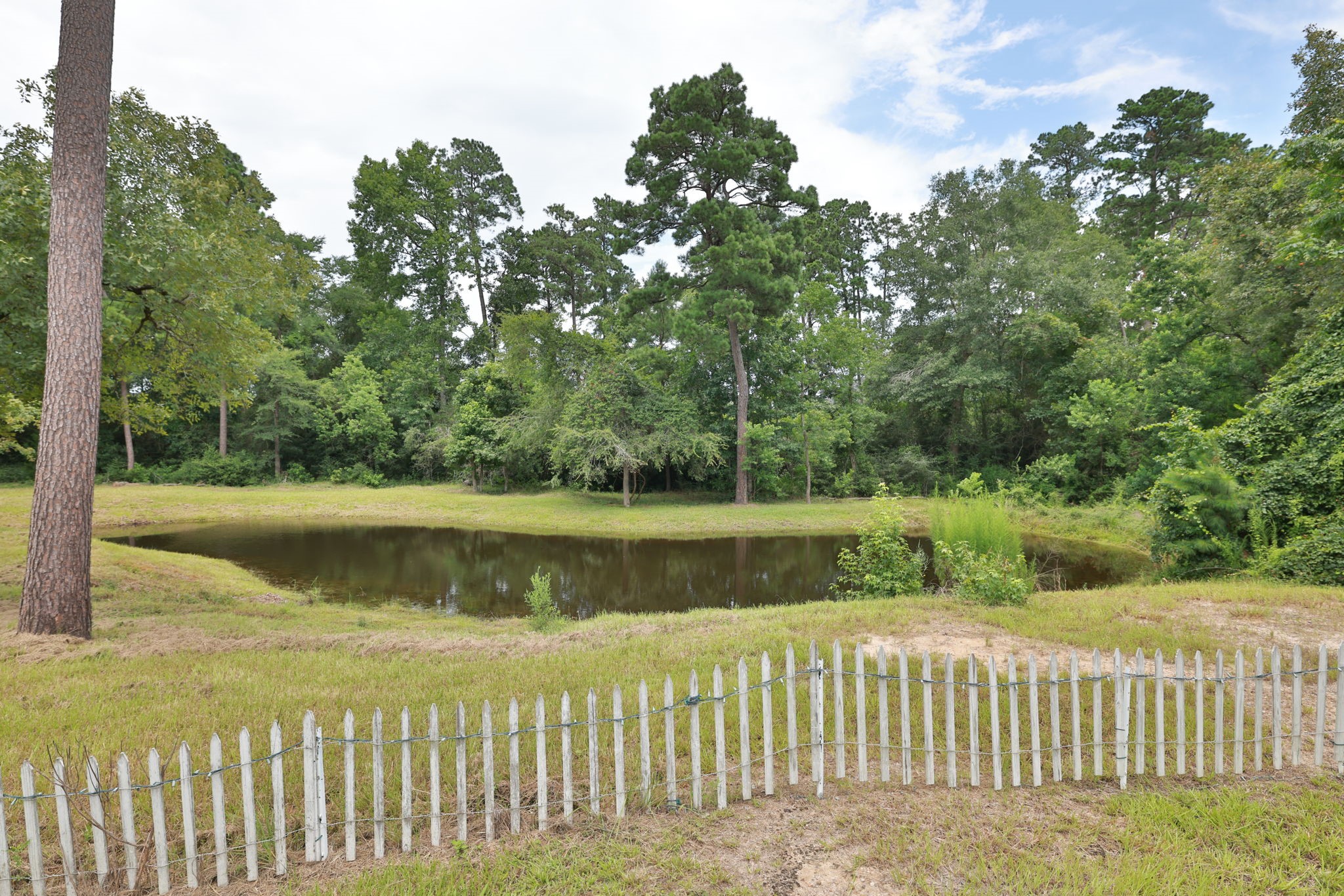 33940 Ansley Road Property Photo 5