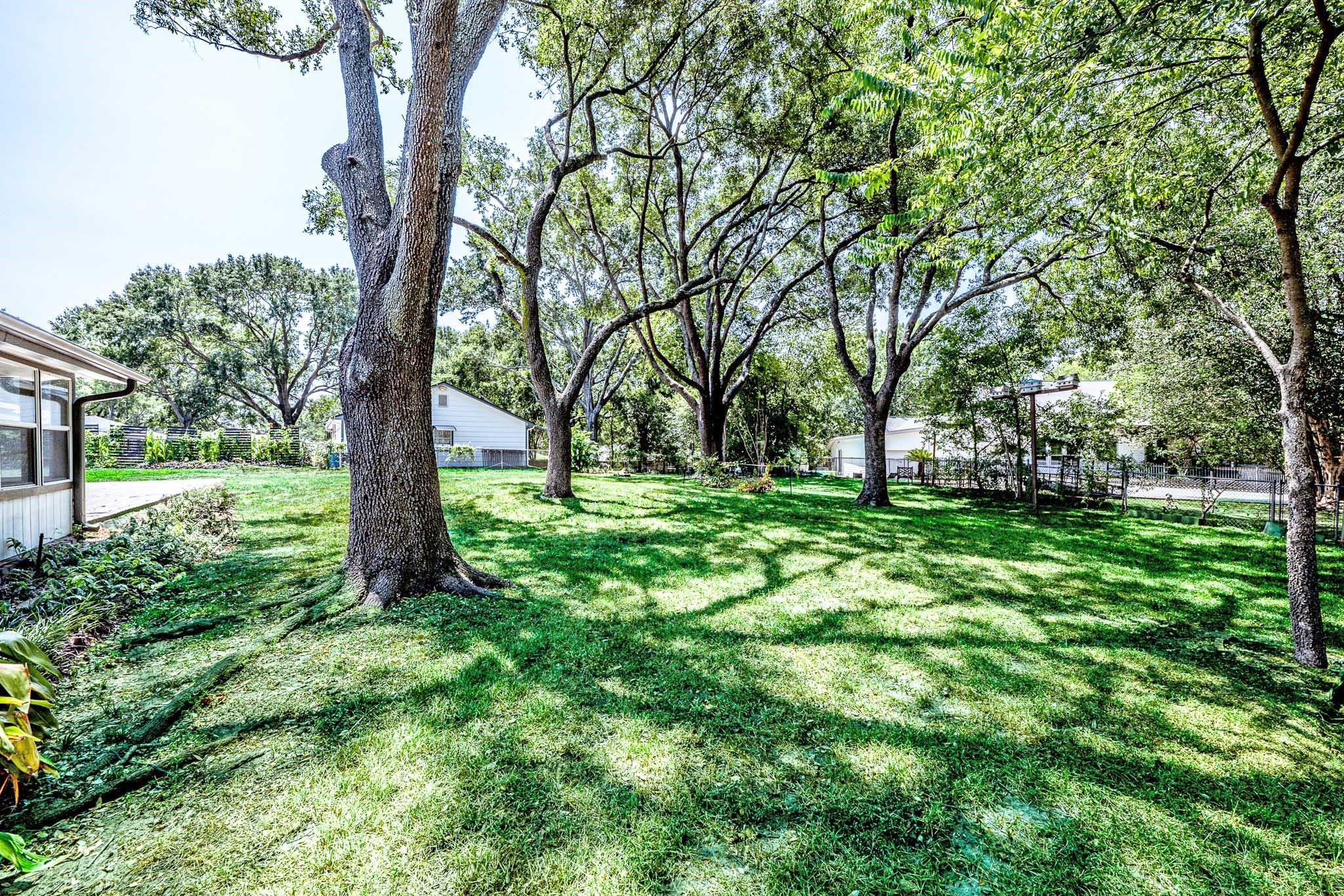 13185 Crest Drive Property Photo 44