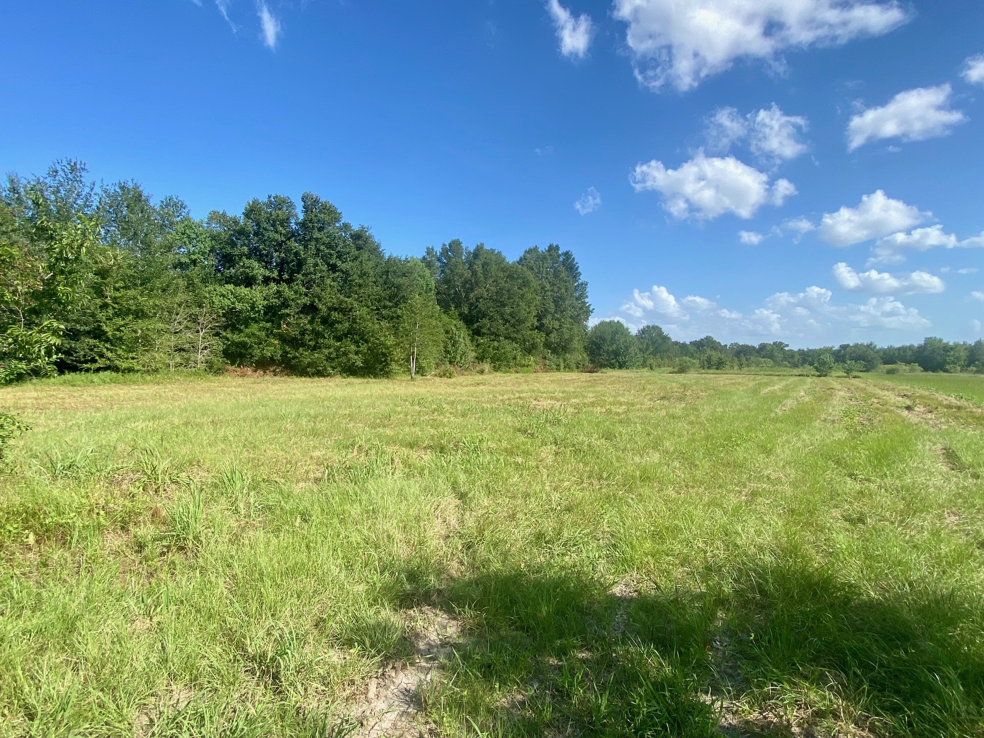 Lot #134 JB McDuff Drive Property Photo 1