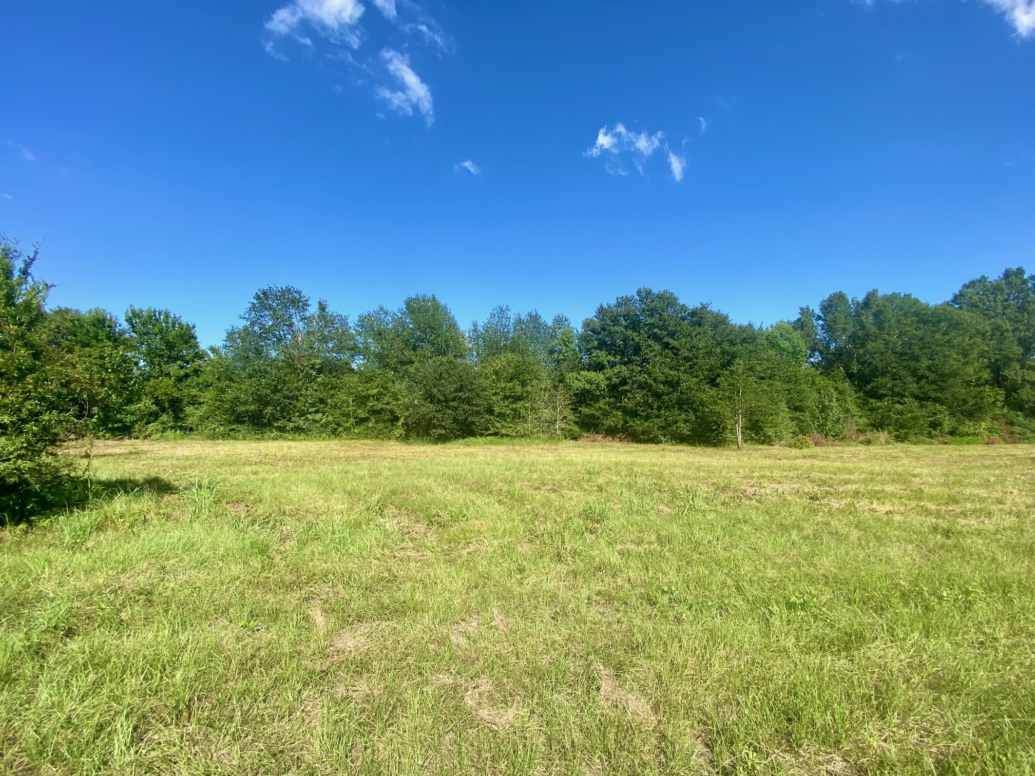Lot #134 Jb Mcduff Drive Property Photo 3