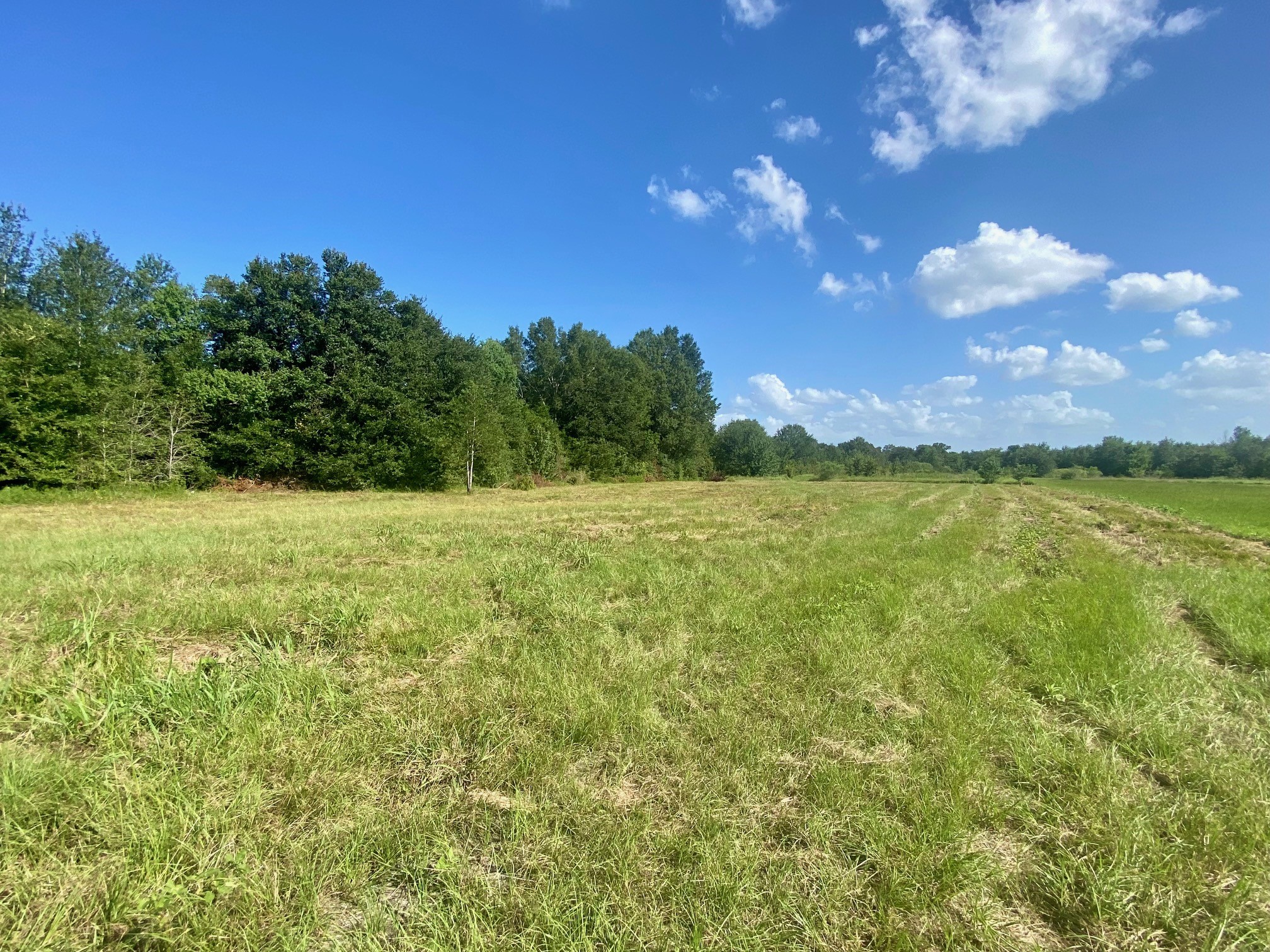 Lot #134 Jb Mcduff Drive Property Photo 8
