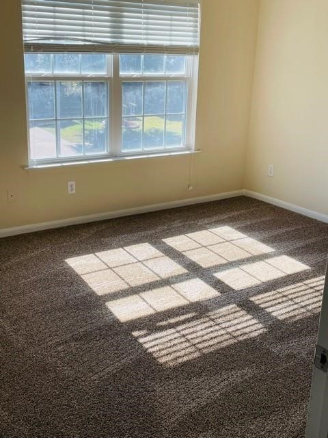 9506 Carsonmont Lane Property Photo 21