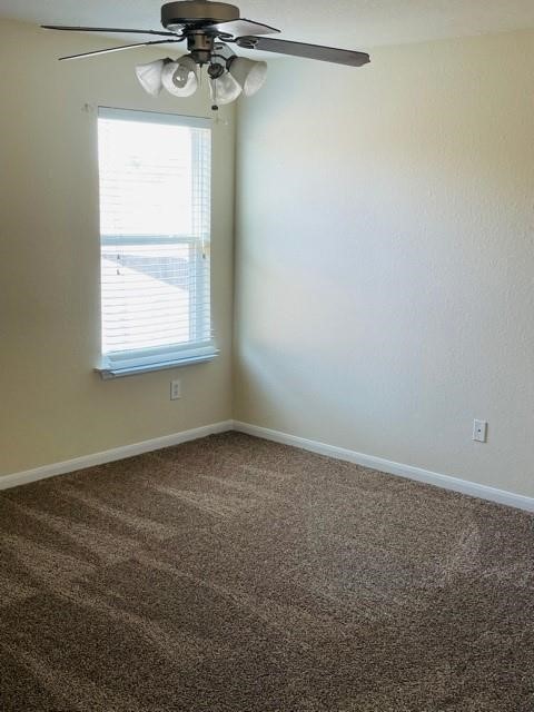 9506 Carsonmont Lane Property Photo 22