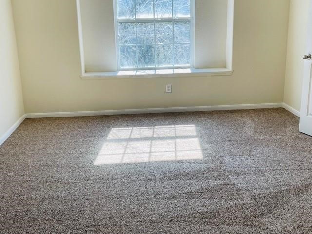9506 Carsonmont Lane Property Photo 24
