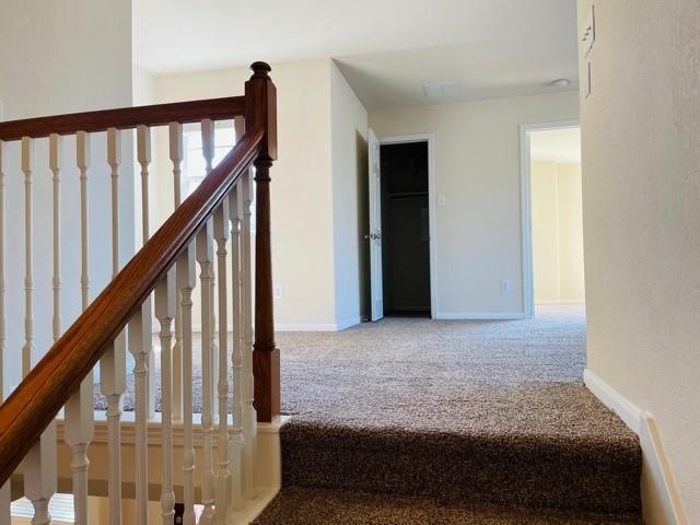 9506 Carsonmont Lane Property Photo 28