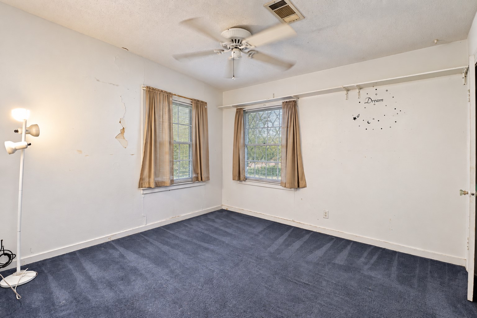 1303 Lake Road Property Photo 5