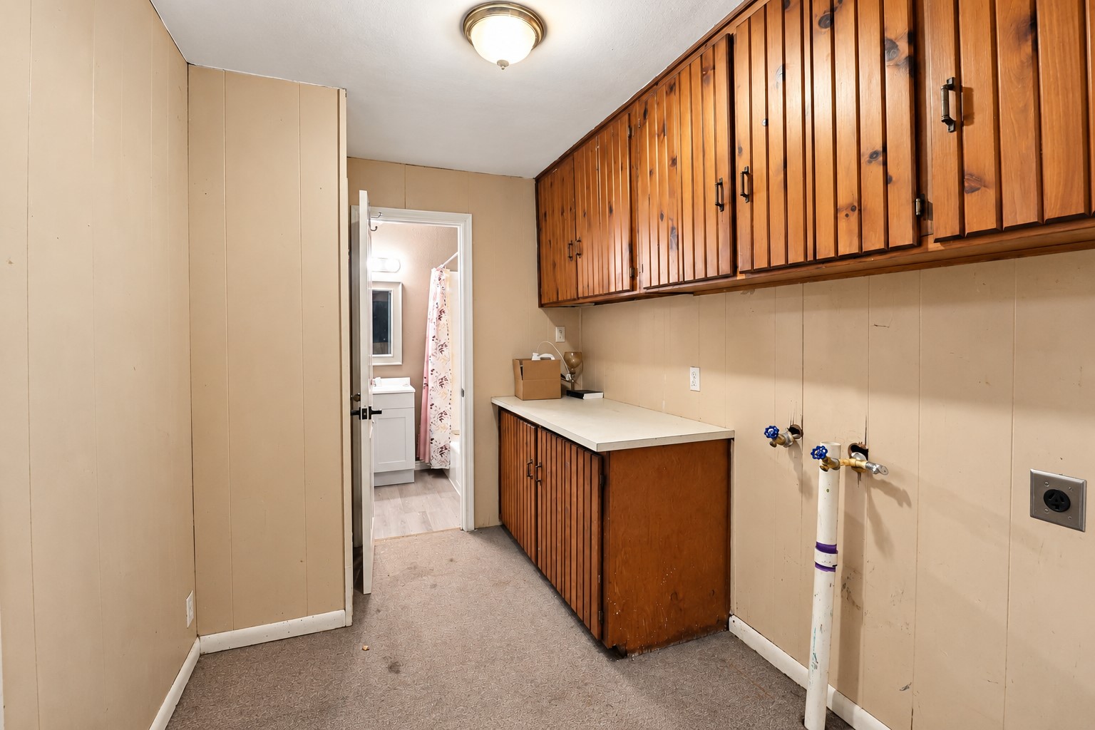 1303 Lake Road Property Photo 10