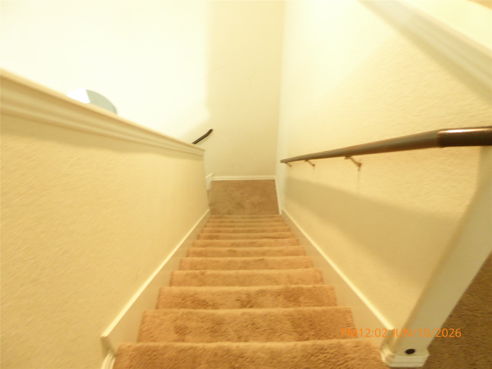 6319 Shadowbrook Hollow Trail Property Photo 18