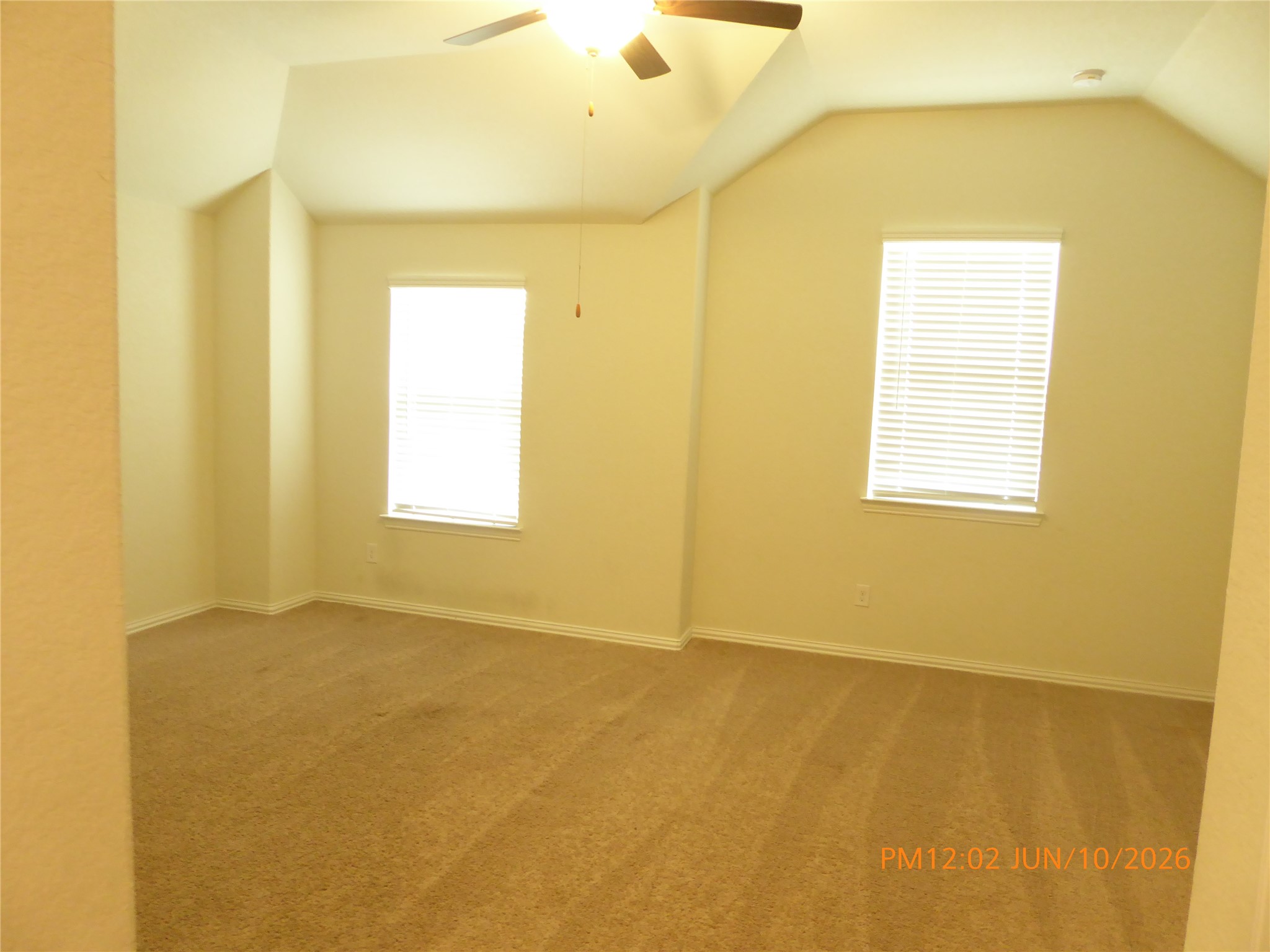 6319 Shadowbrook Hollow Trail Property Photo 19