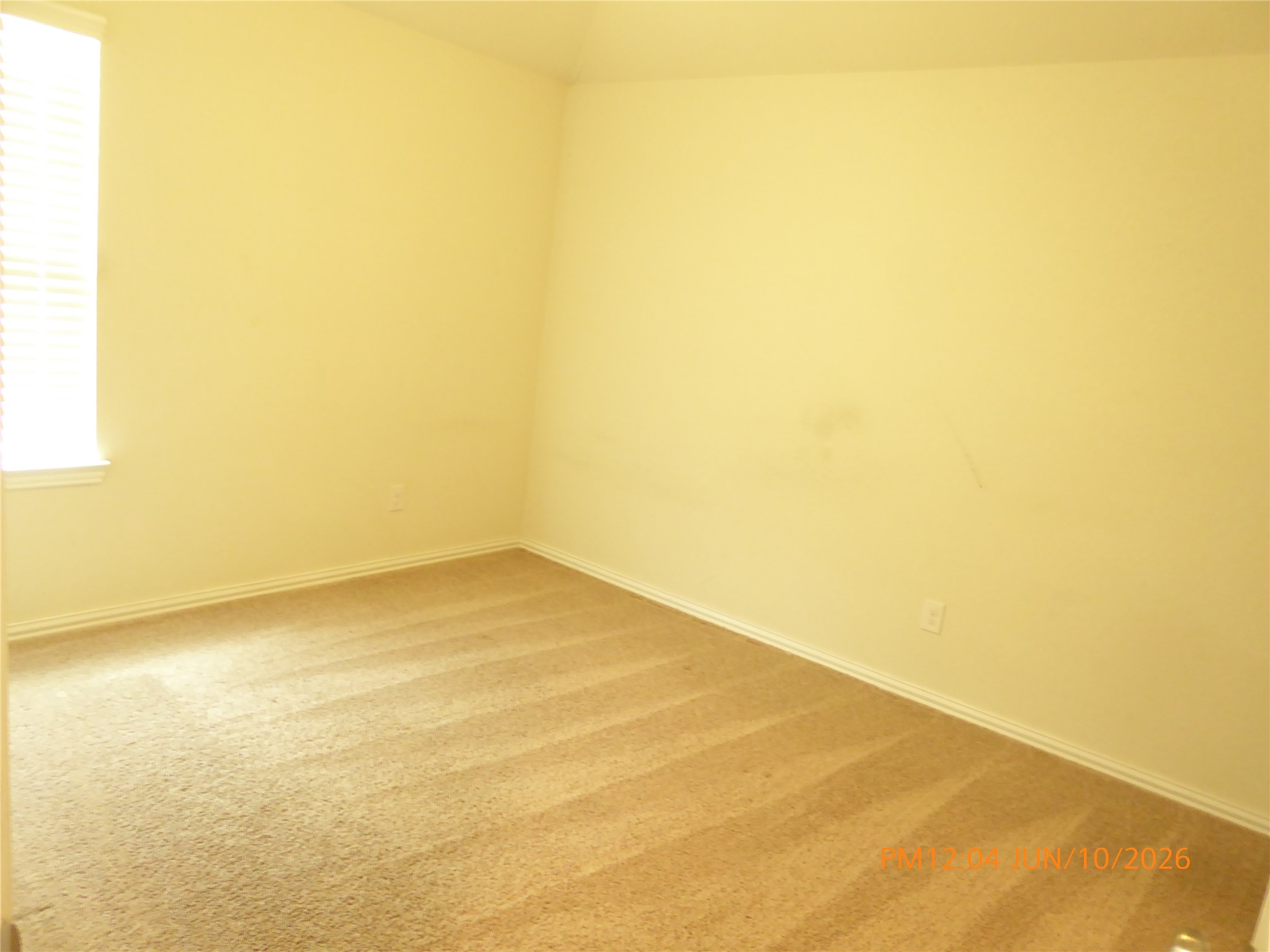 6319 Shadowbrook Hollow Trail Property Photo 26