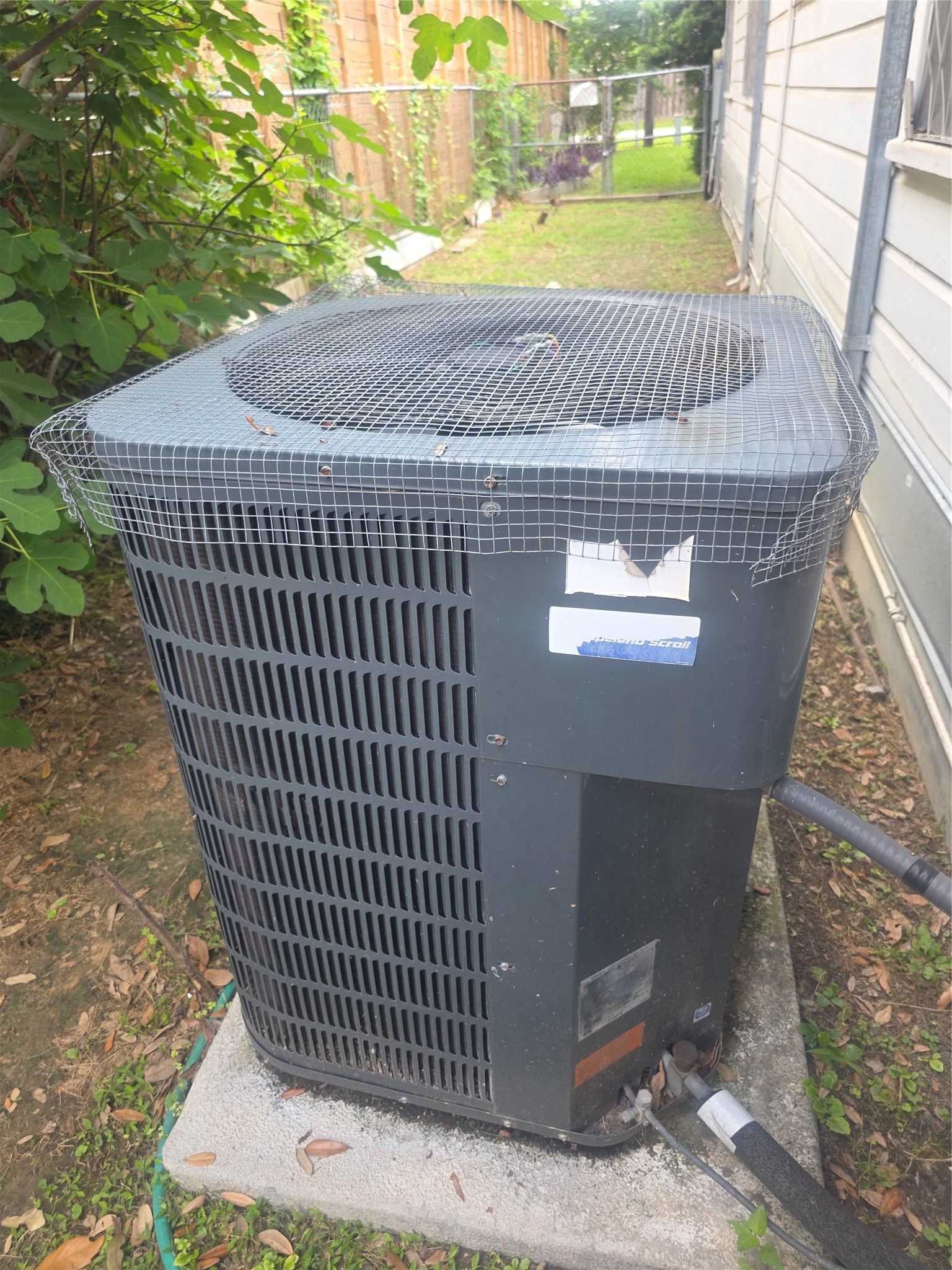 5206 Robertson Street Property Photo 20