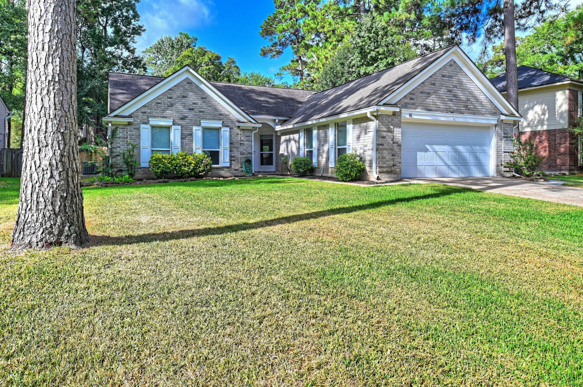 15 White Bark Property Photo 11