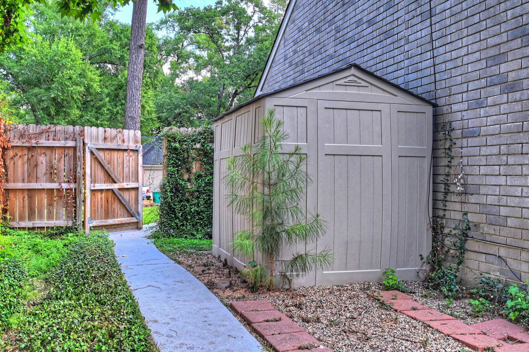 15 White Bark Property Photo 50
