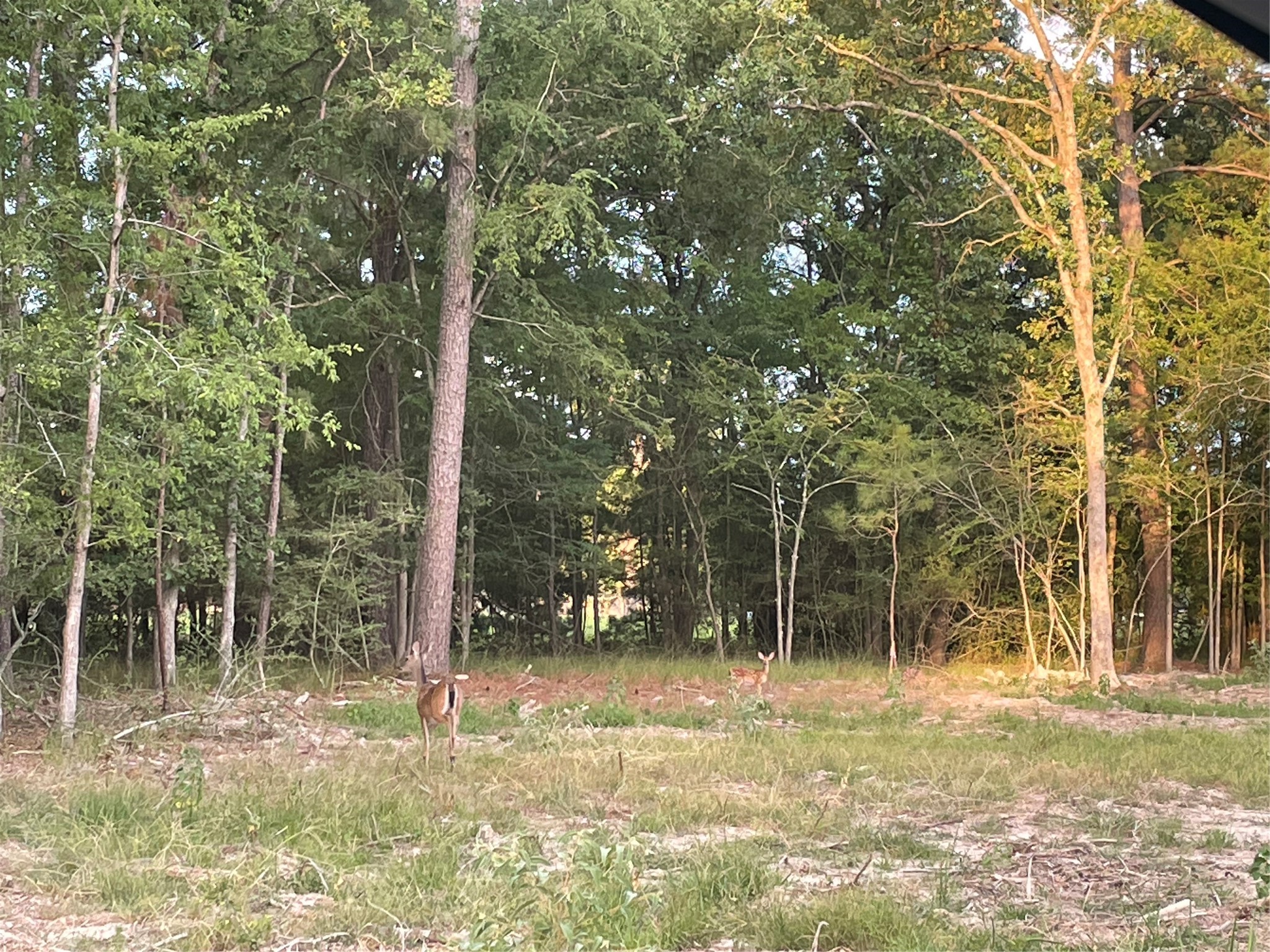 Tbd N Clear Spring Road Property Photo 2